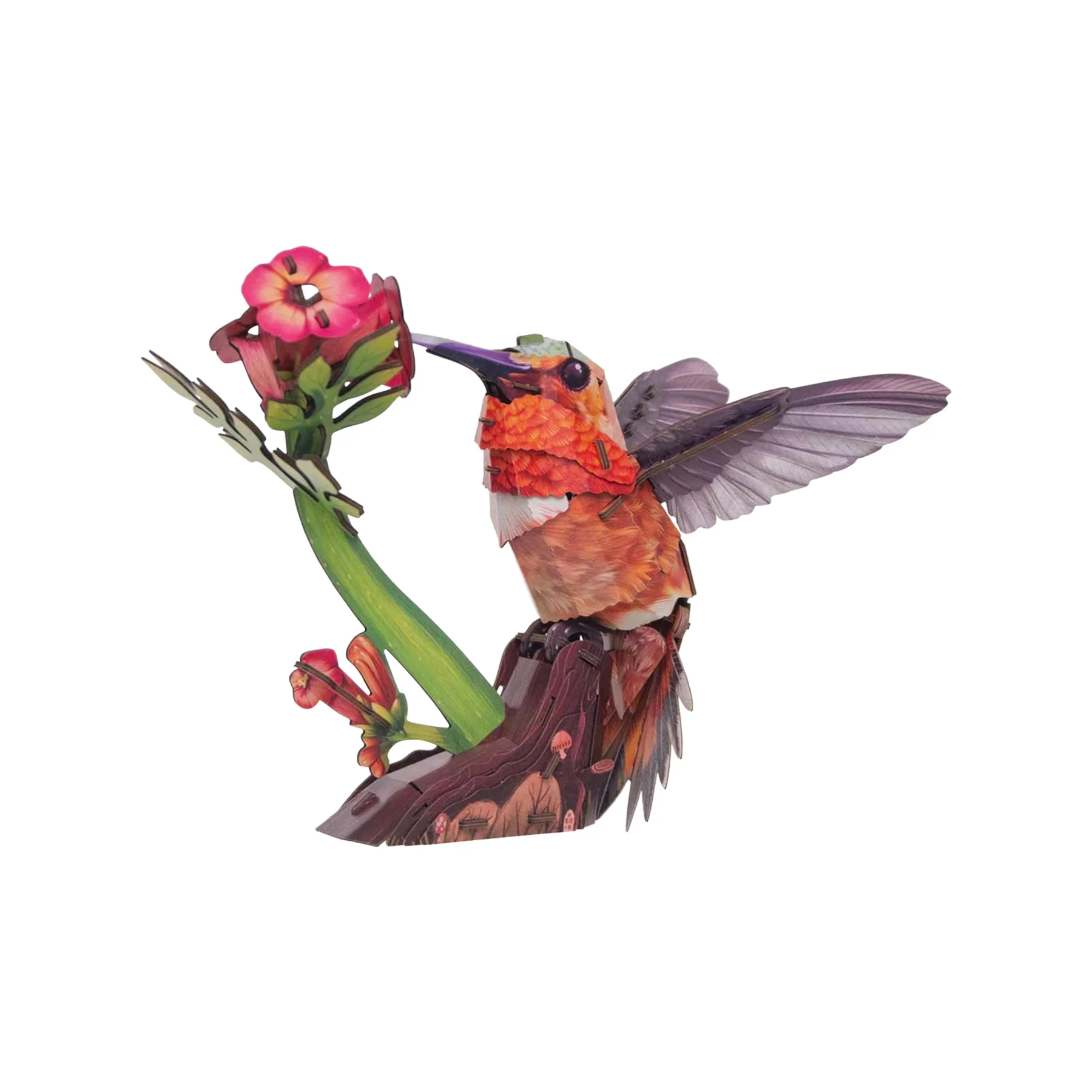 3-D MODEL HUMMINGBIRD