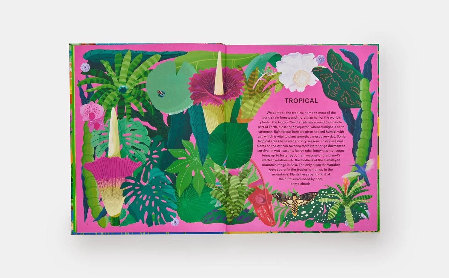 A HOME FOR EVERY PLANT - Image 2