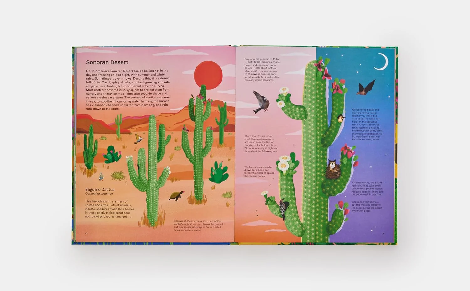 A HOME FOR EVERY PLANT - Image 3