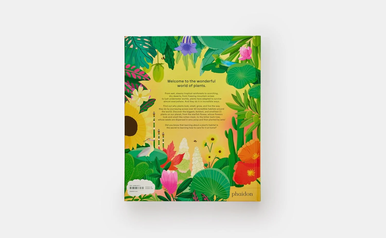 A HOME FOR EVERY PLANT - Image 6