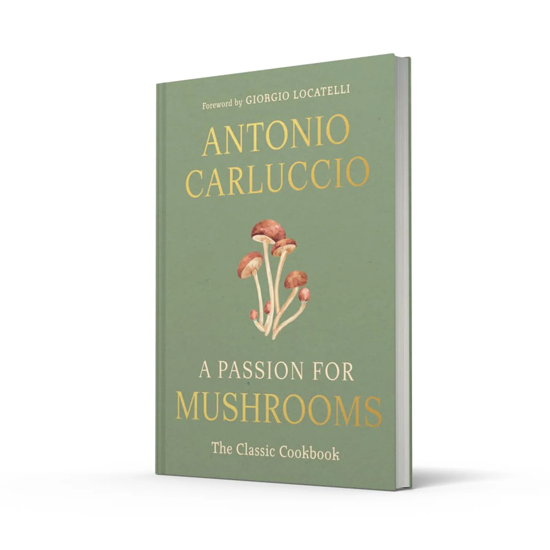 A PASSION FOR MUSHROOMS - Image 2