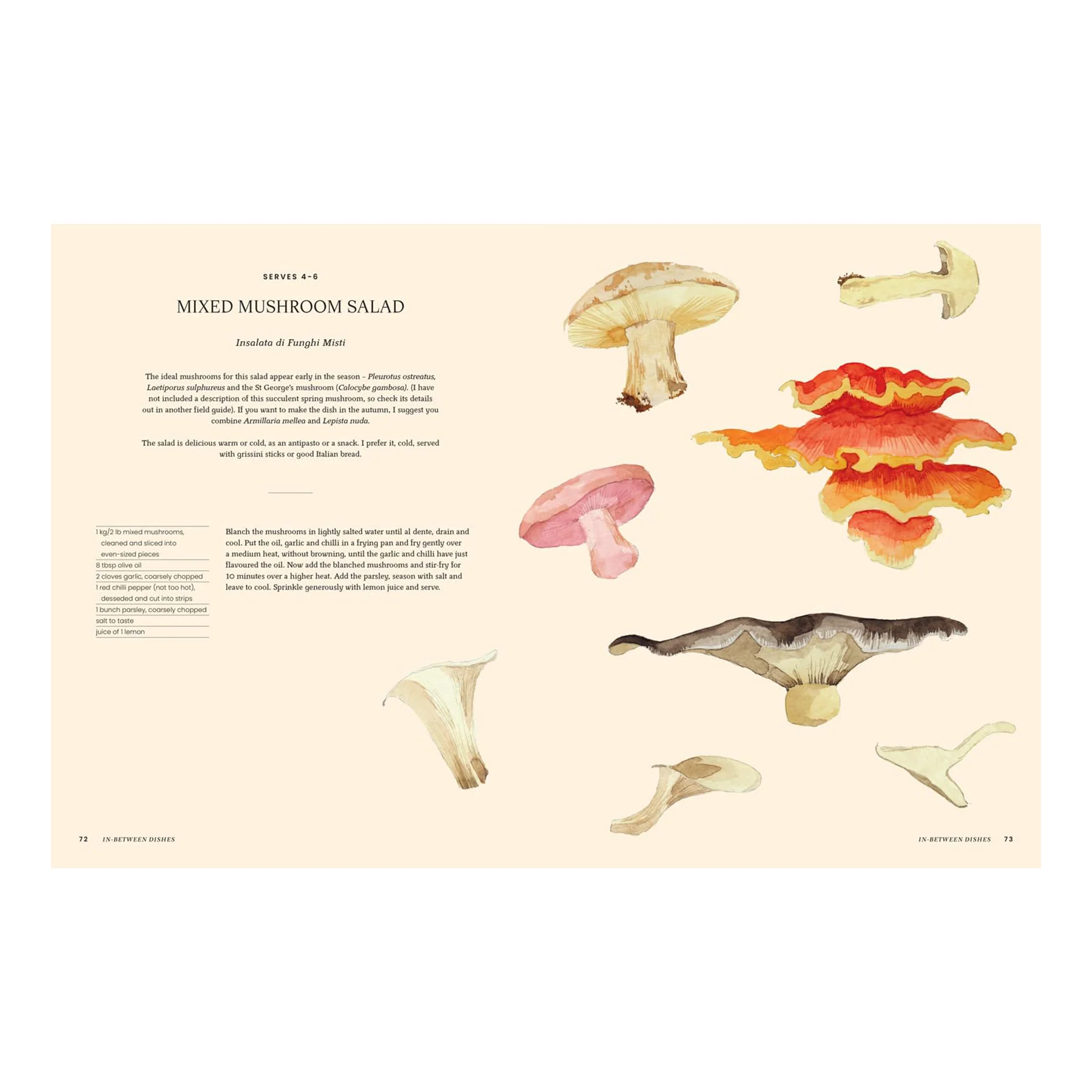 A PASSION FOR MUSHROOMS - Image 4