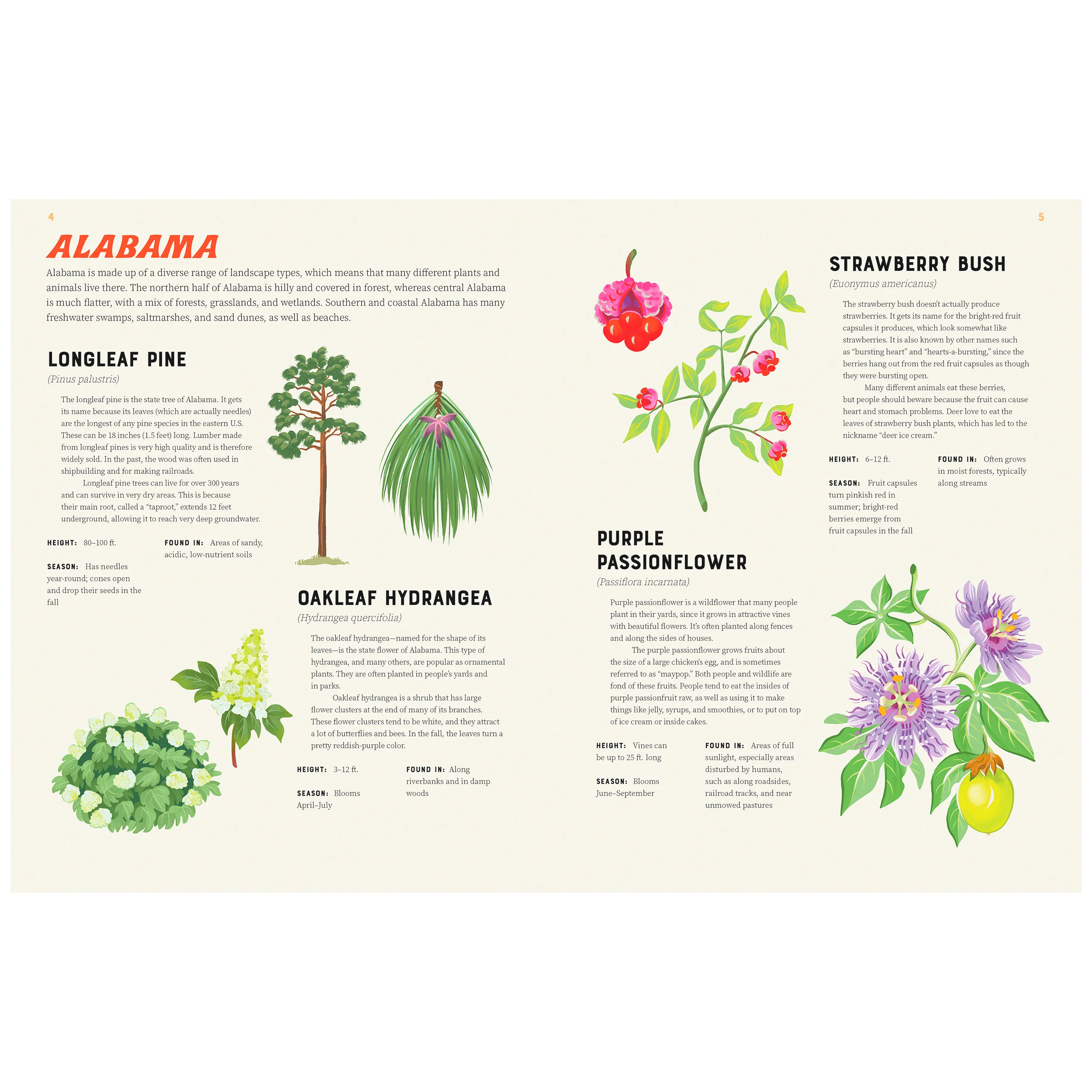 AMERICA IS WILD! A STATE-BY-STATE ENCYCLOPEDIA OF AMERICAN WILDLIFE - Image 2
