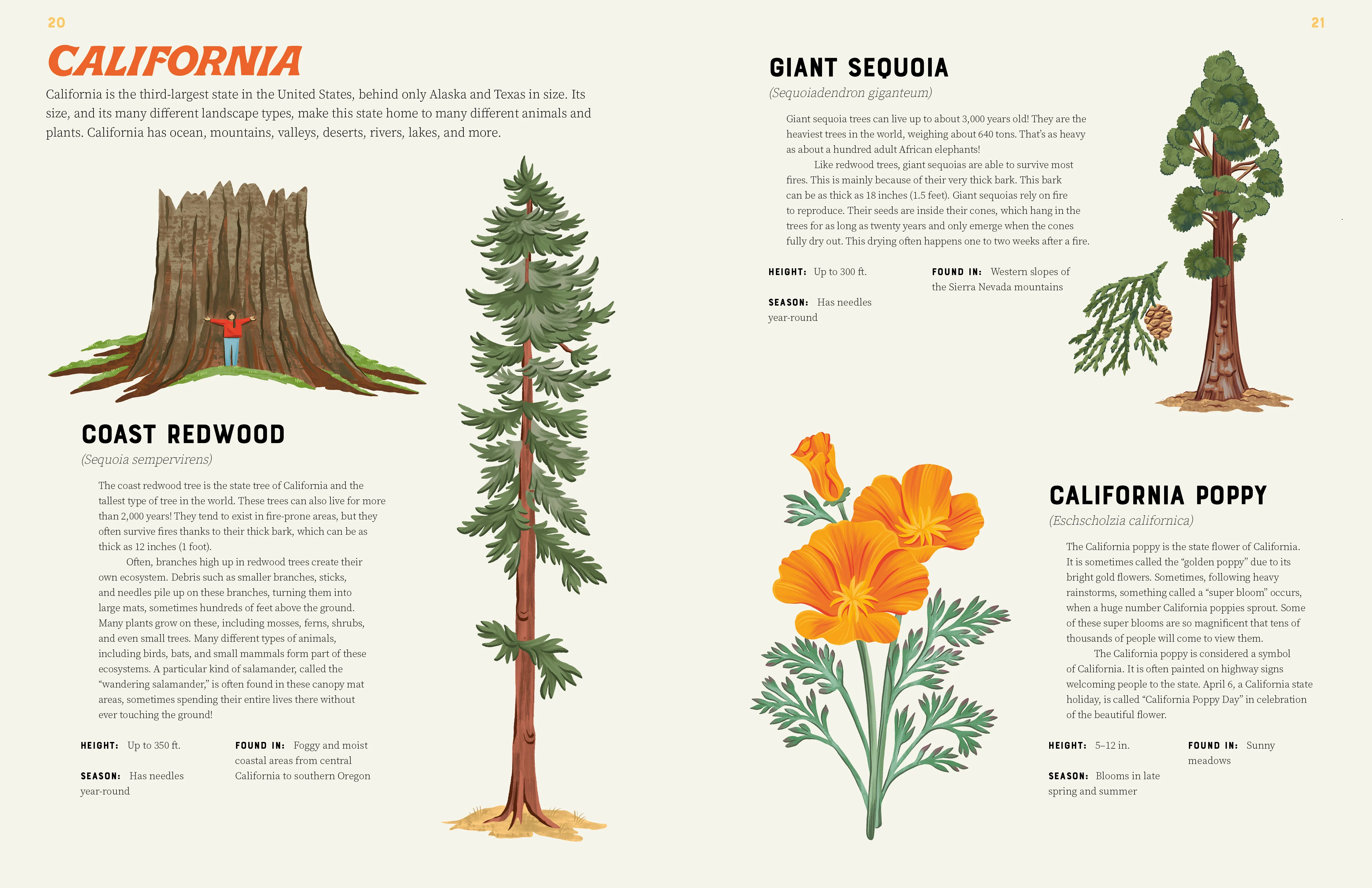 AMERICA IS WILD! A STATE-BY-STATE ENCYCLOPEDIA OF AMERICAN WILDLIFE - Image 4