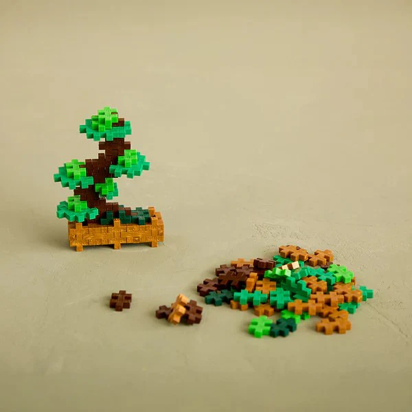 BALANCED BONSAI PLANT PACK - Image 3