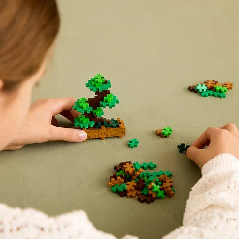 BALANCED BONSAI PLANT PACK - Image 4
