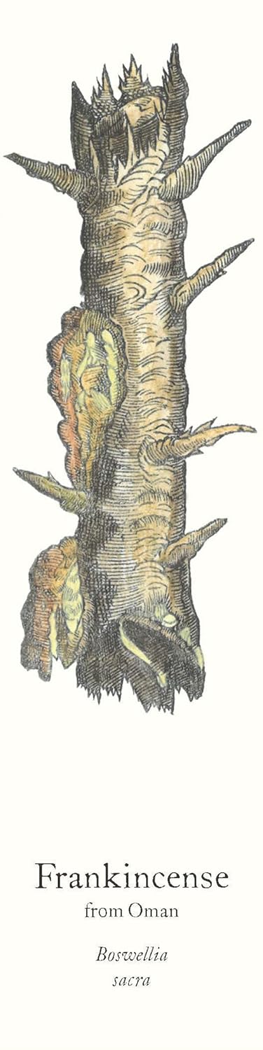 BIBLIOSCENTS: FRAGRANT BOOKMARKS - Image 3