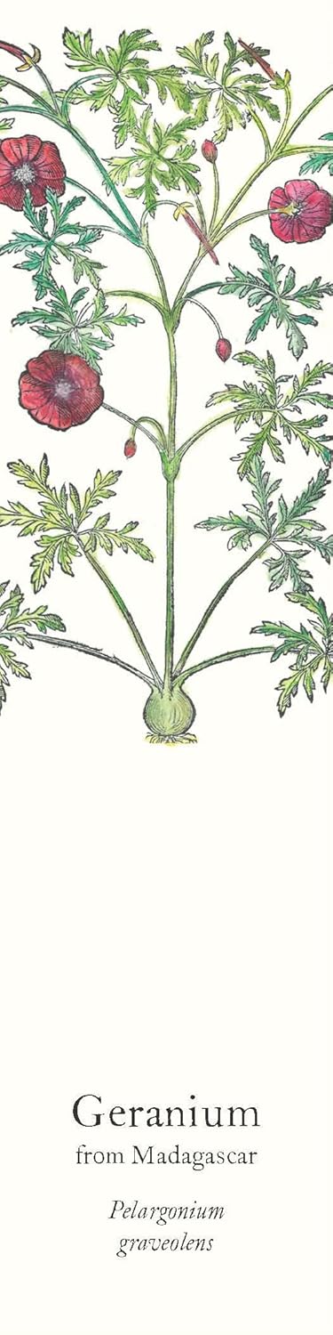 BIBLIOSCENTS: FRAGRANT BOOKMARKS - Image 5