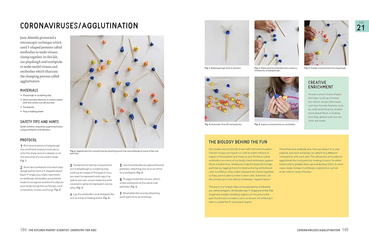 BIOLOGY FOR KIDS - Image 5