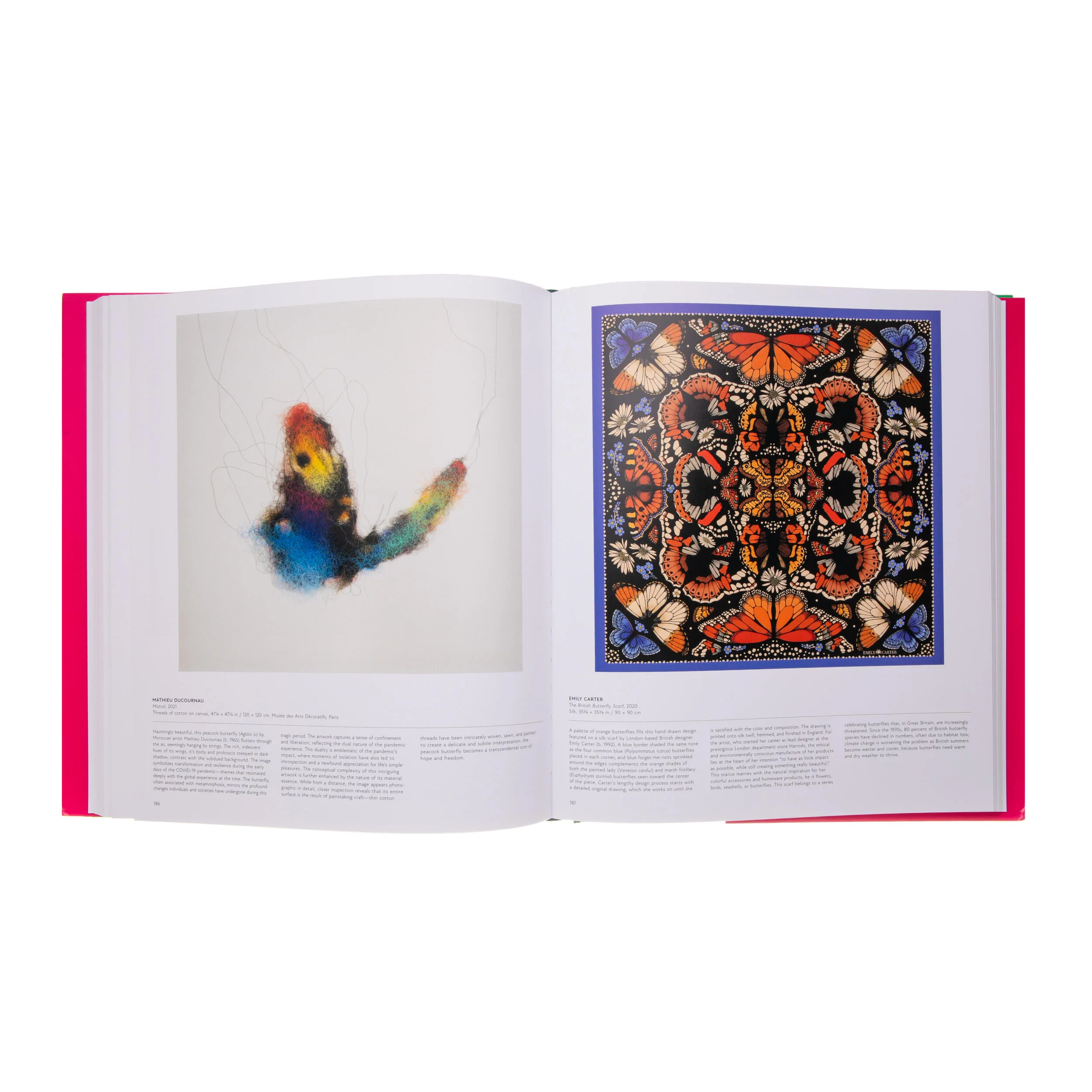 BUTTERFLY: EXPLORING THE WORLD OF LEPIDOPTERA - Image 3
