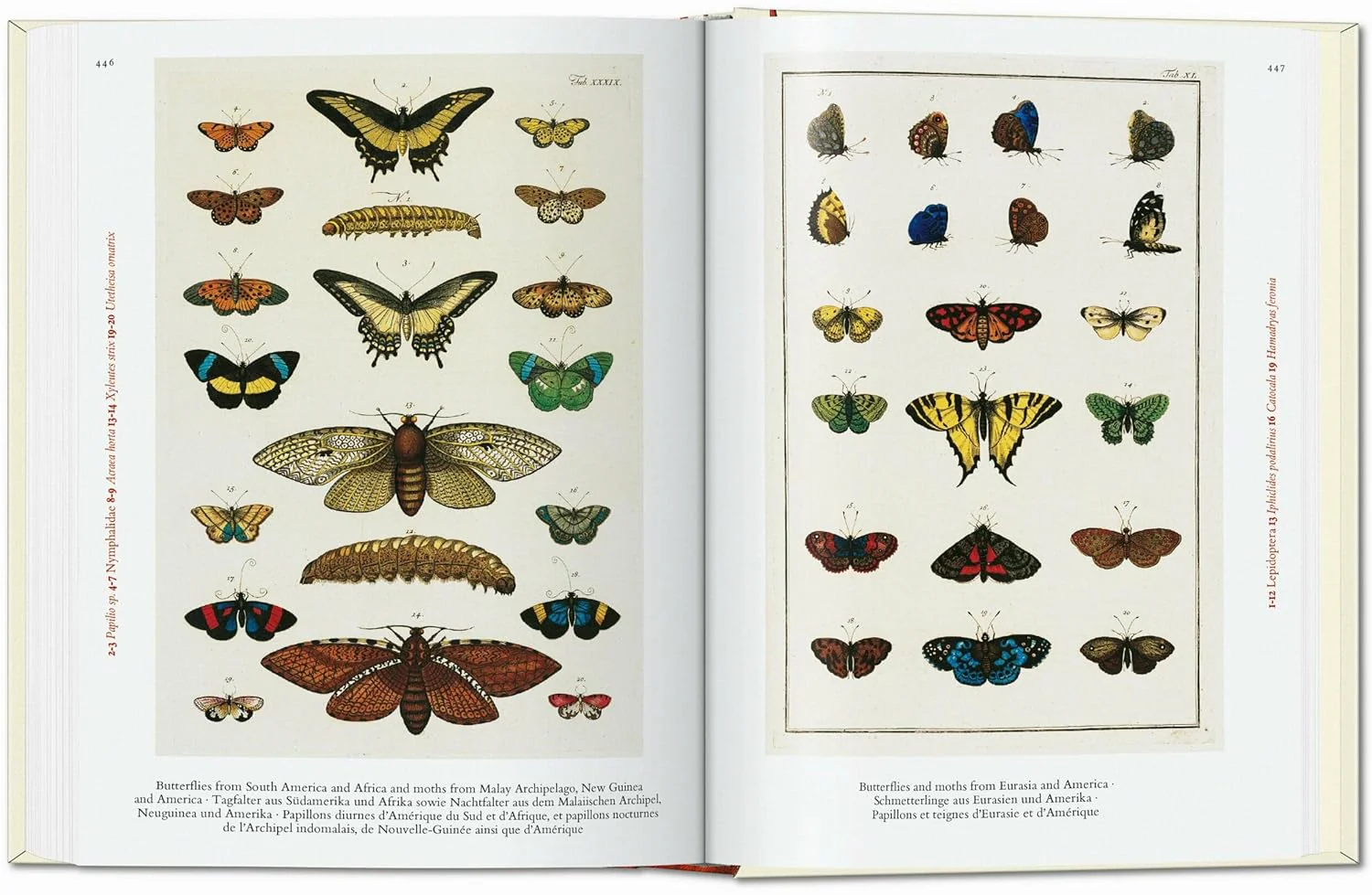 CABINET OF NATURAL CURIOSITIES 1734 - 1765 - Image 5