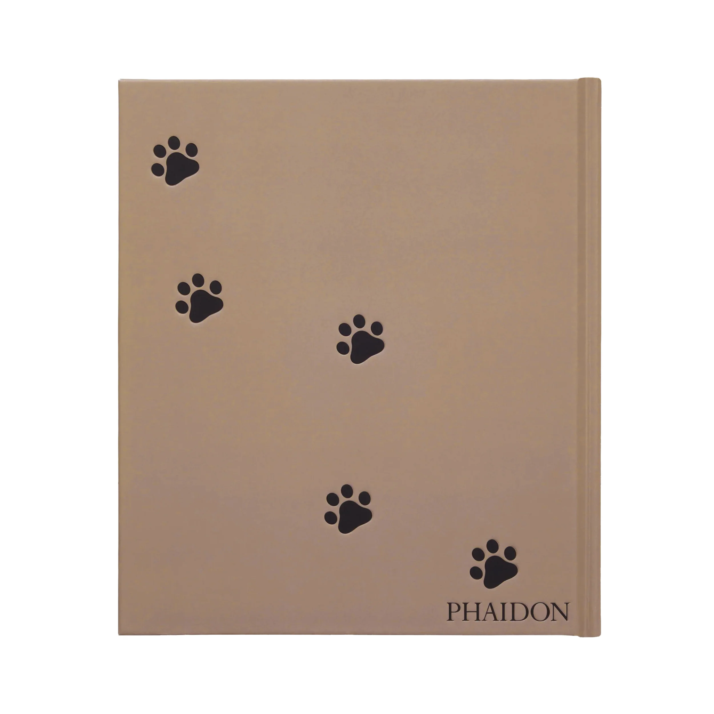 CAT - Image 2