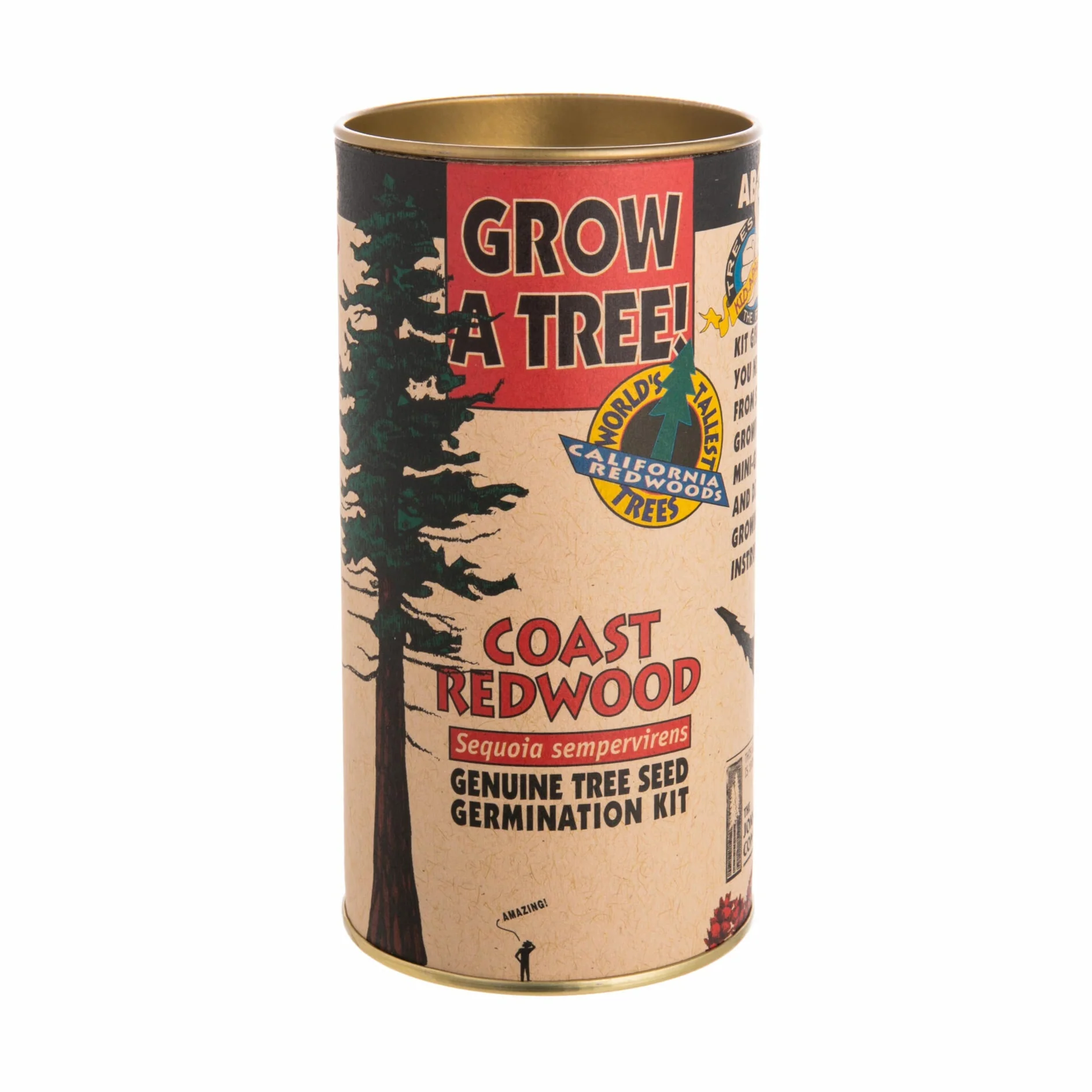 COAST REDWOOD TREE–GROWING KIT - Image 2