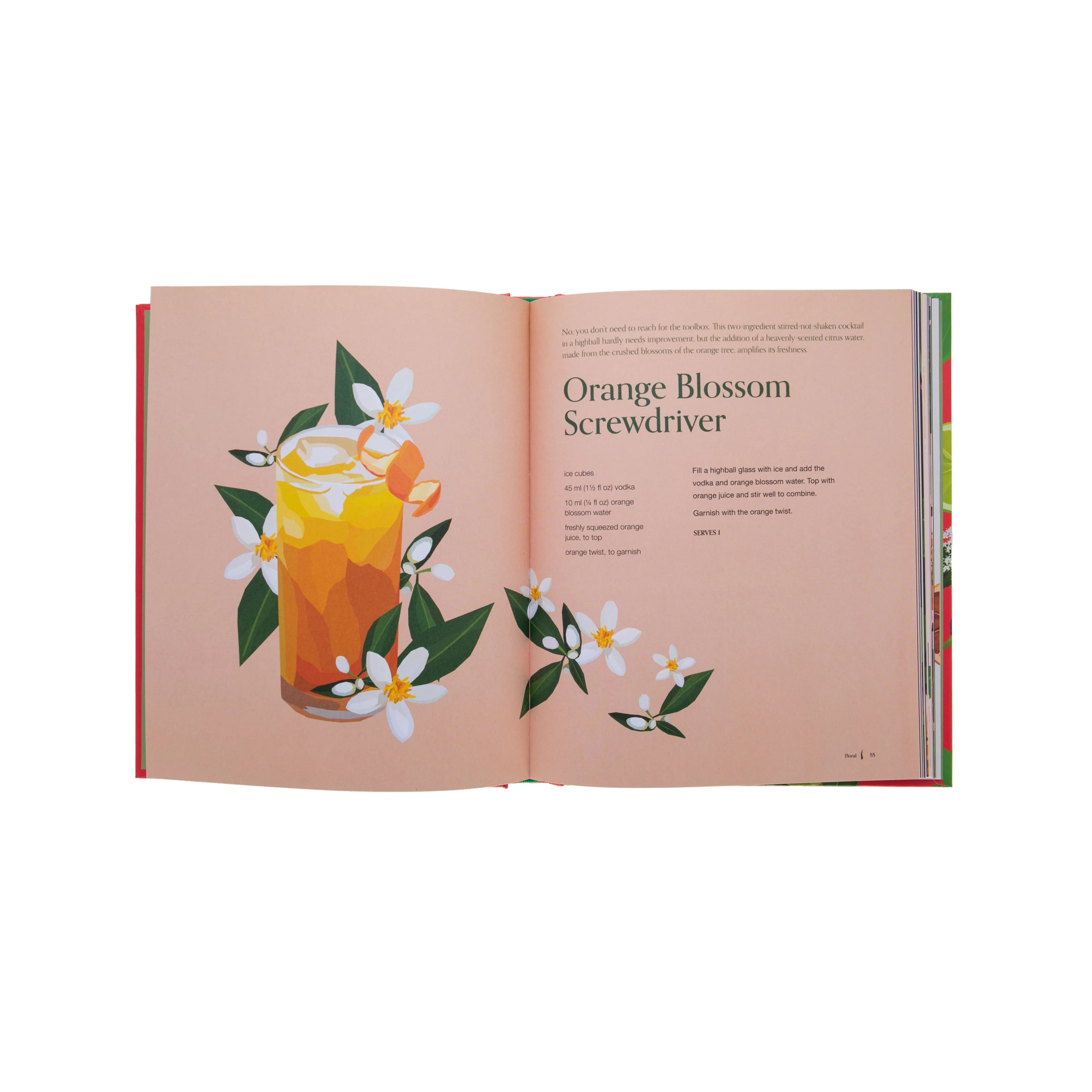 COCKTAIL BOTANICA - Image 4
