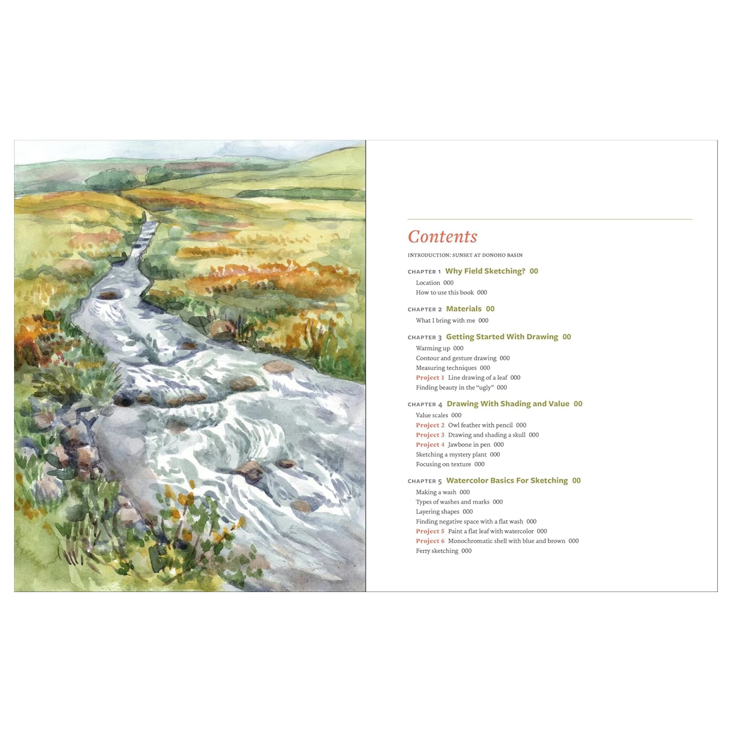DISCOVER THE ART OF FIELD SKETCHING - Image 2