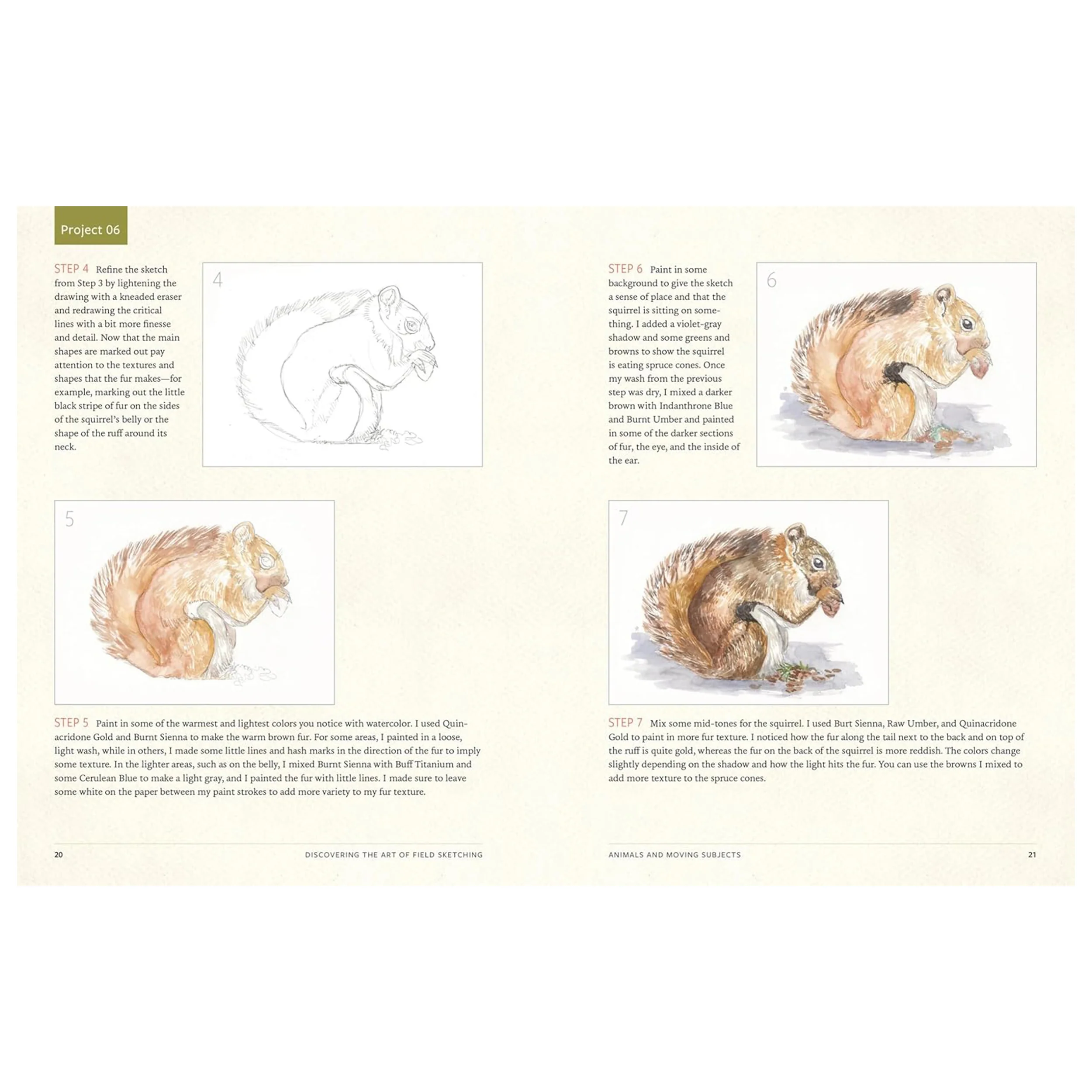 DISCOVER THE ART OF FIELD SKETCHING - Image 6