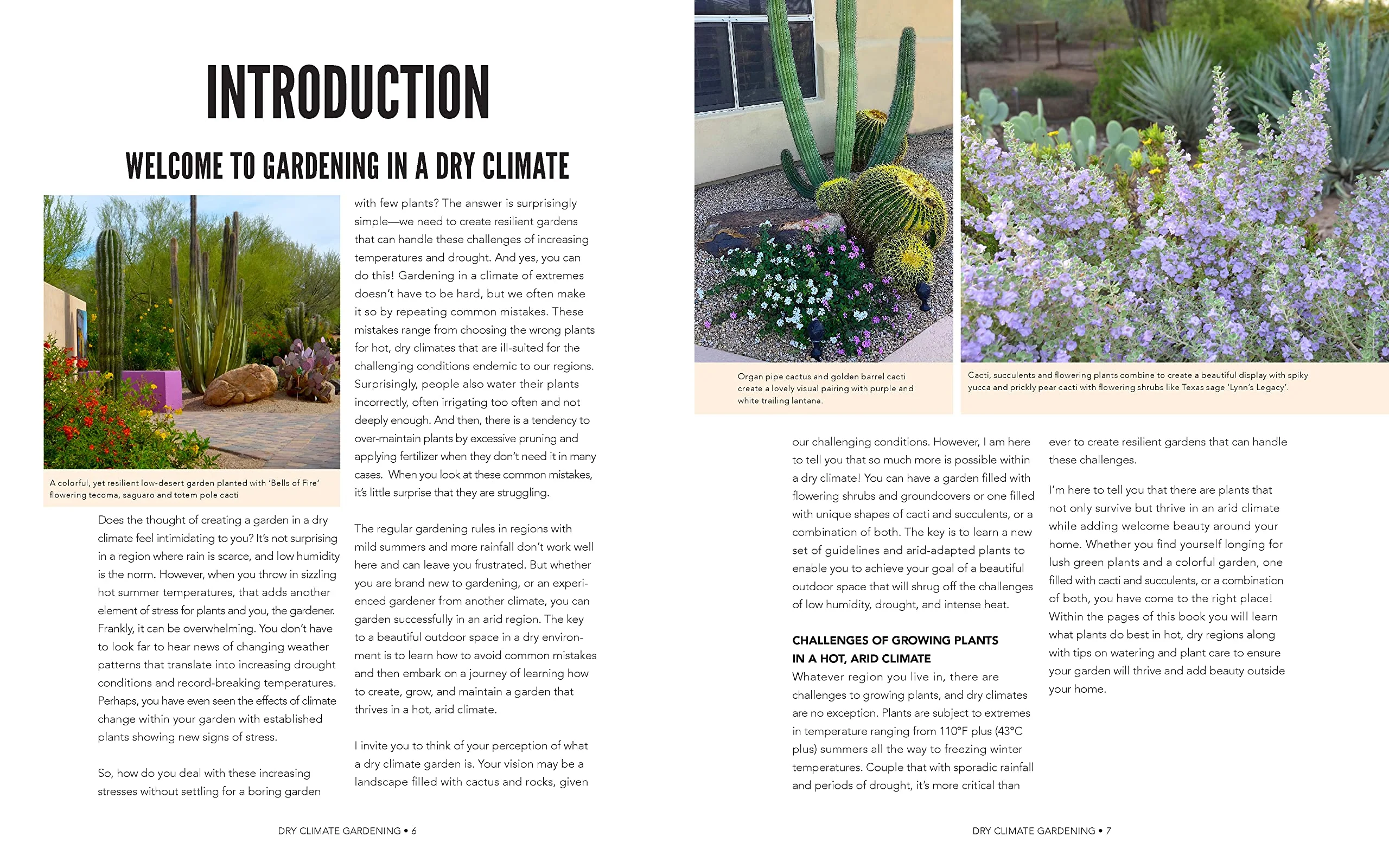 DRY CLIMATE GARDENING - Image 3