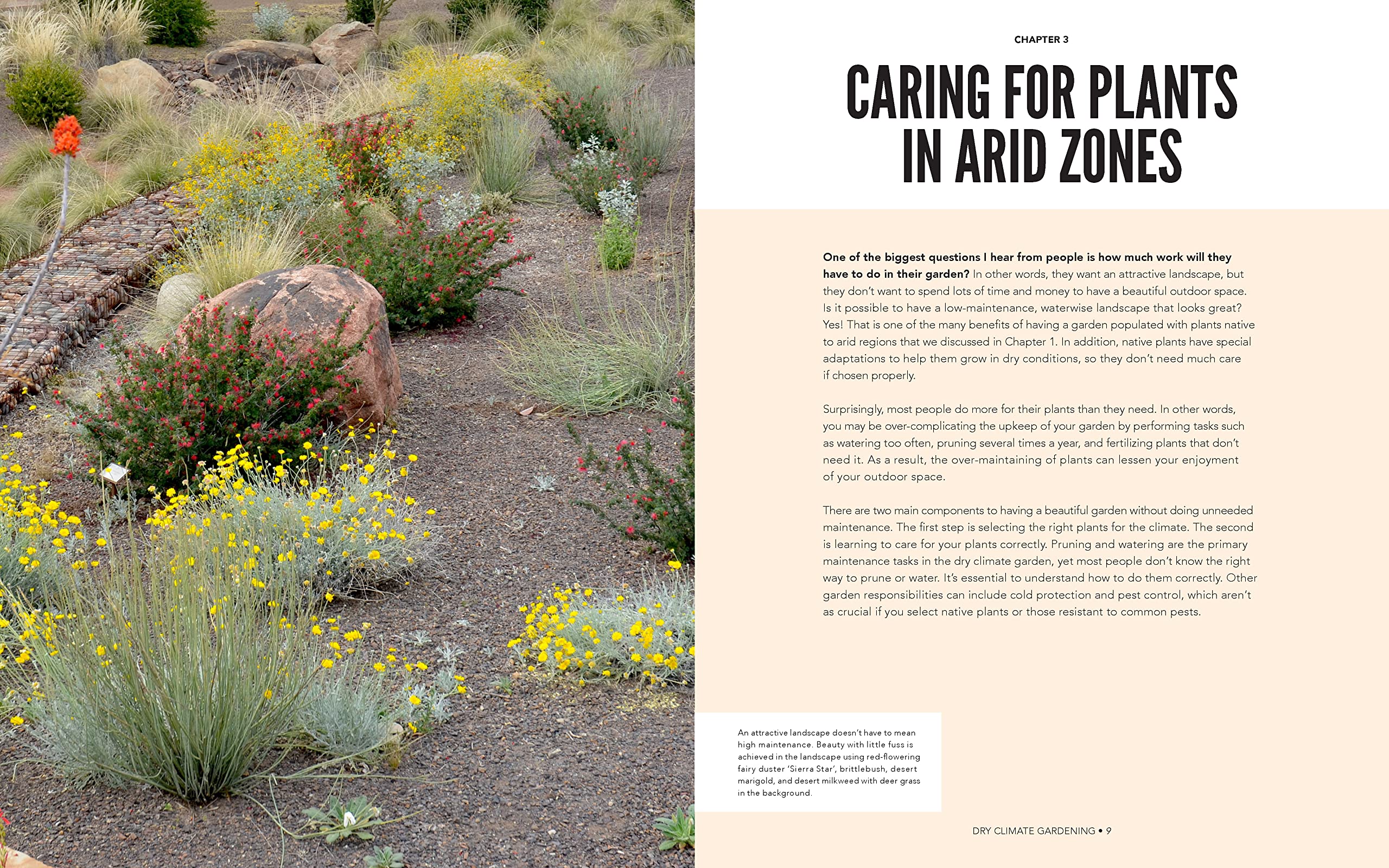 DRY CLIMATE GARDENING - Image 4