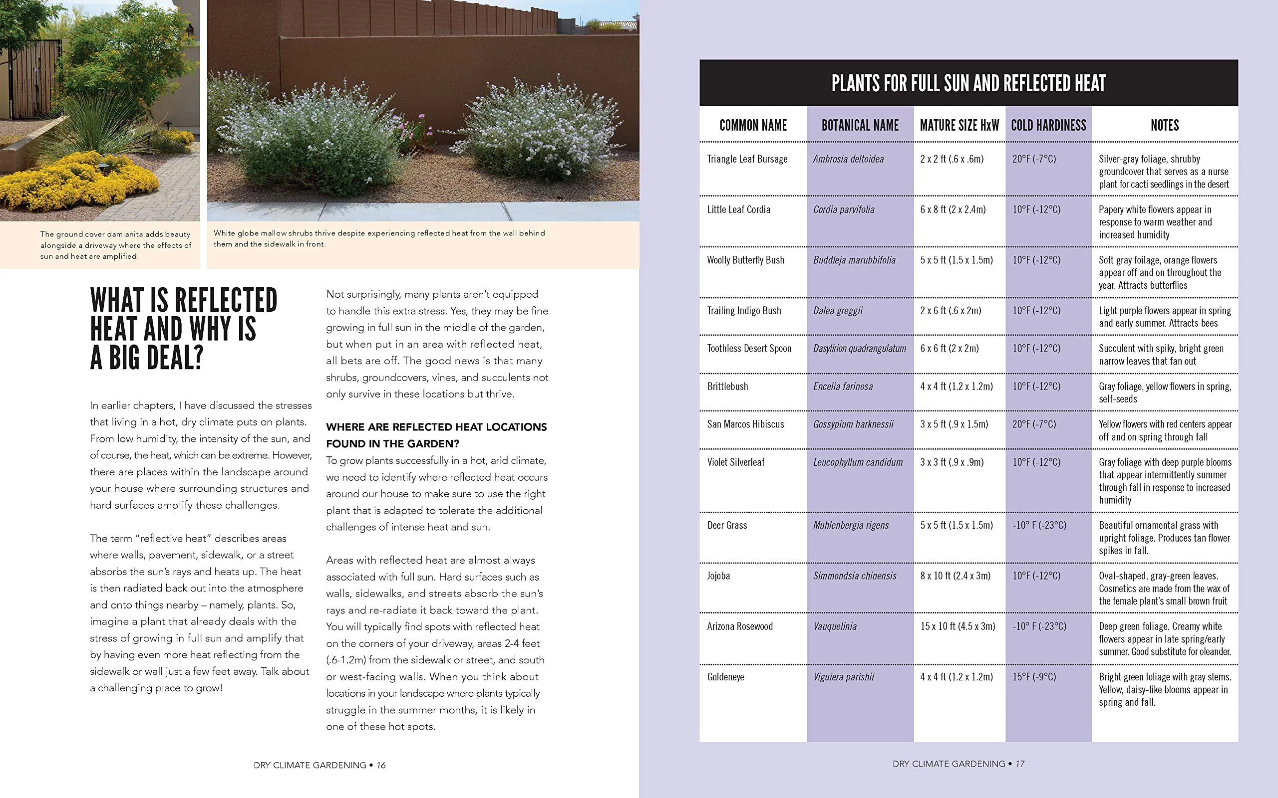 DRY CLIMATE GARDENING - Image 5