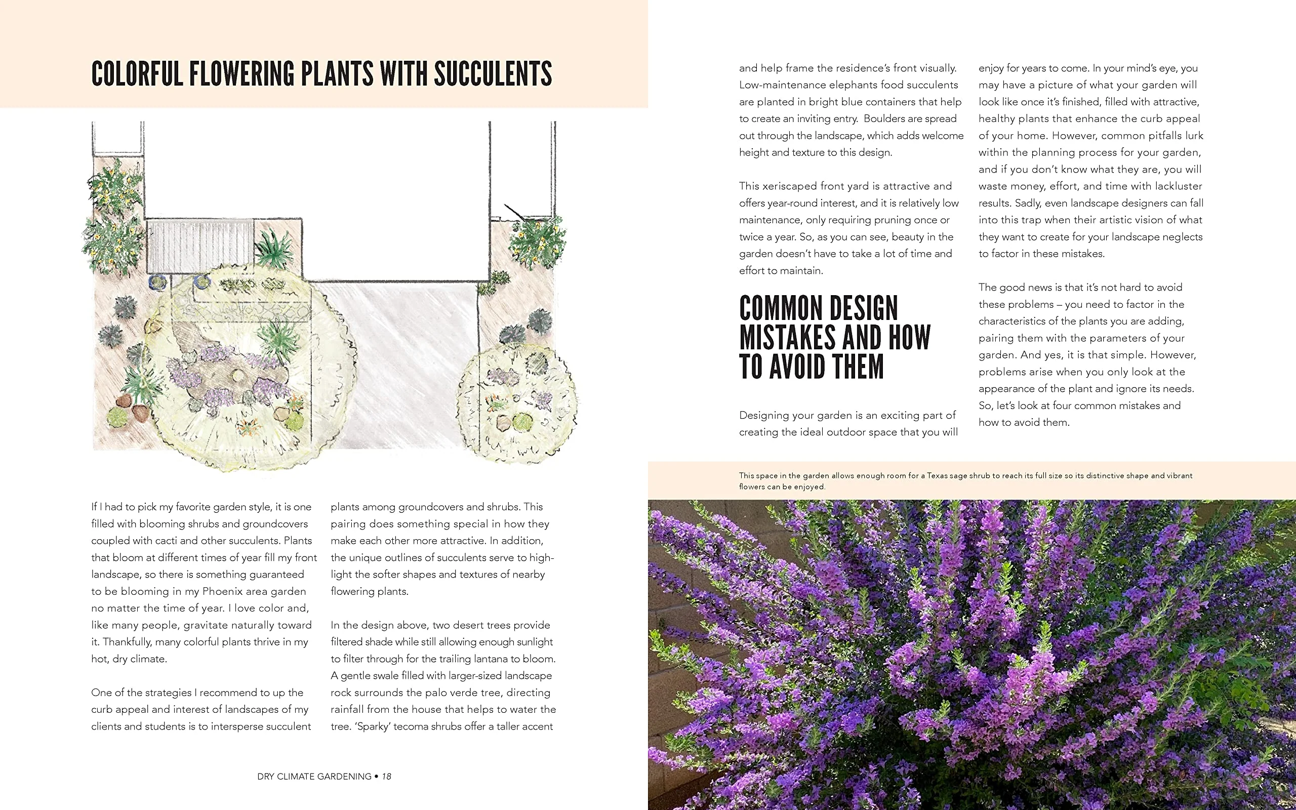 DRY CLIMATE GARDENING - Image 6