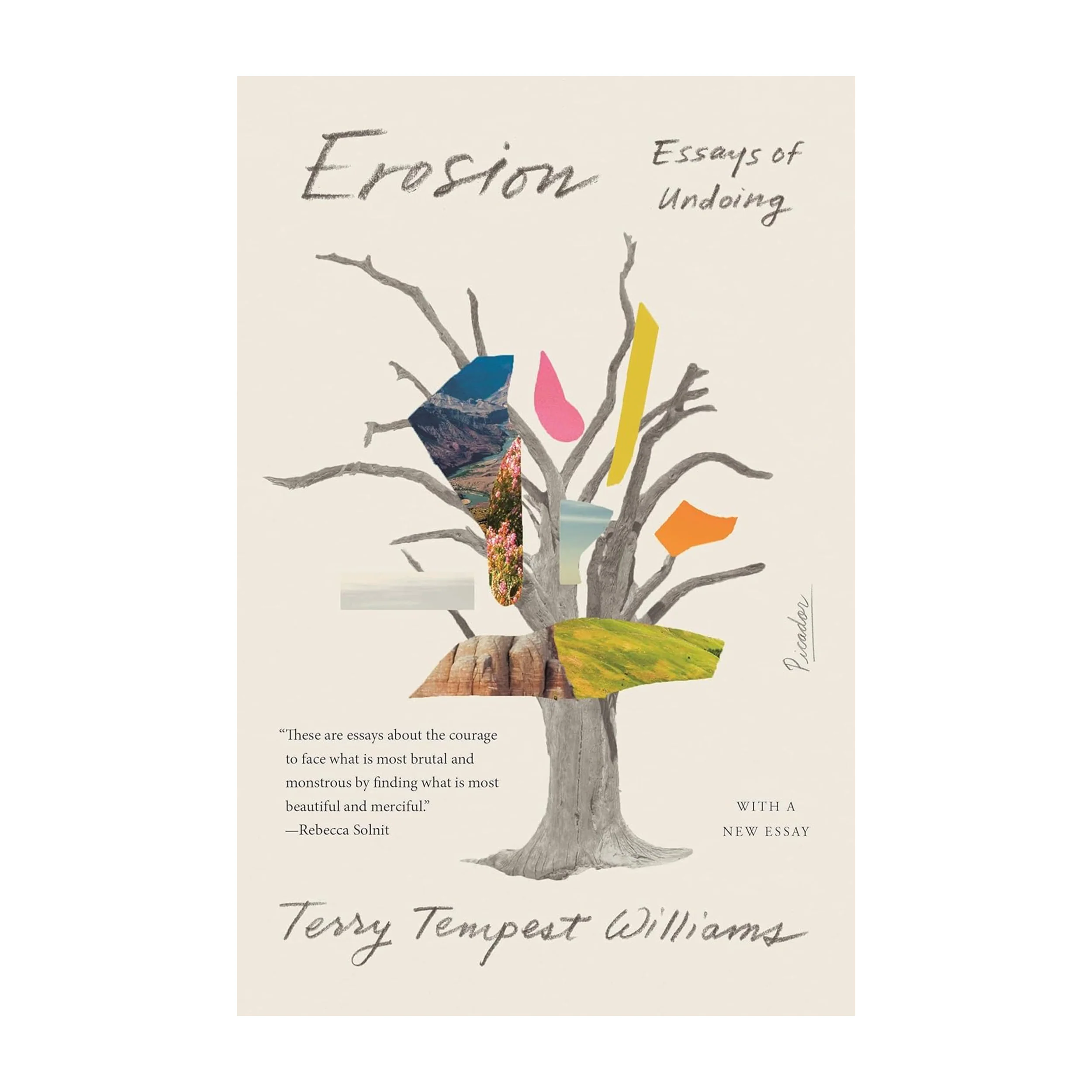 EROSION: ESSAYS OF UNDOING