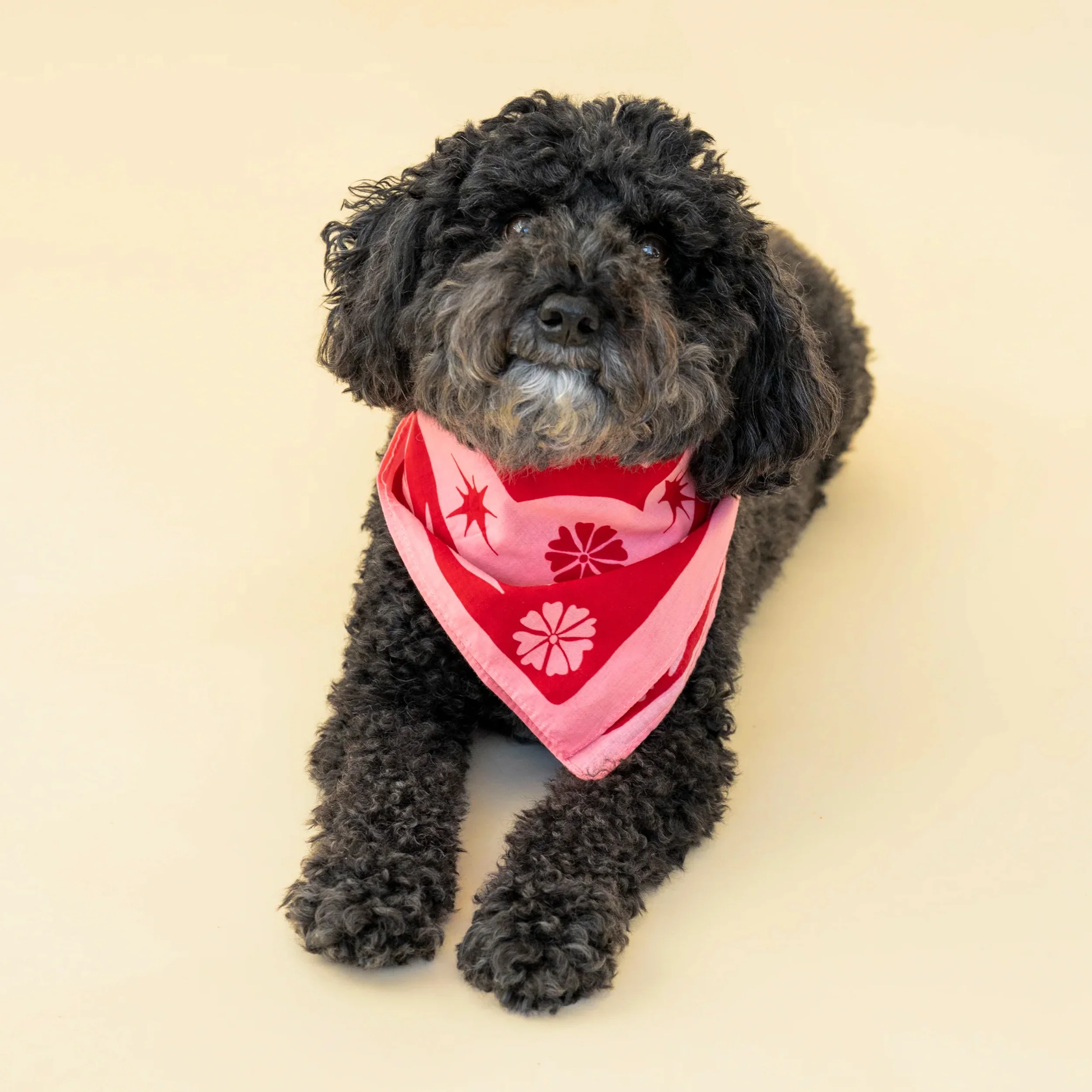 HAPPINESS BANDANA - Image 7