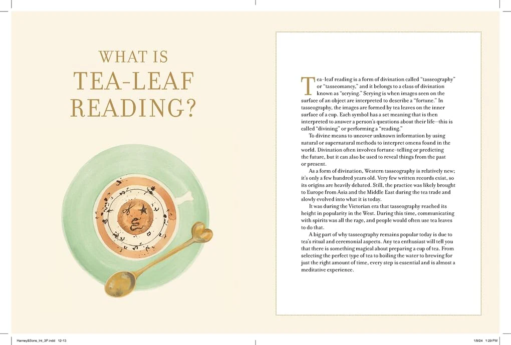 HOW TO READ TEA LEAVES: A CARD DECK & GUIDEBOOK FOR DIVINATION - Image 5