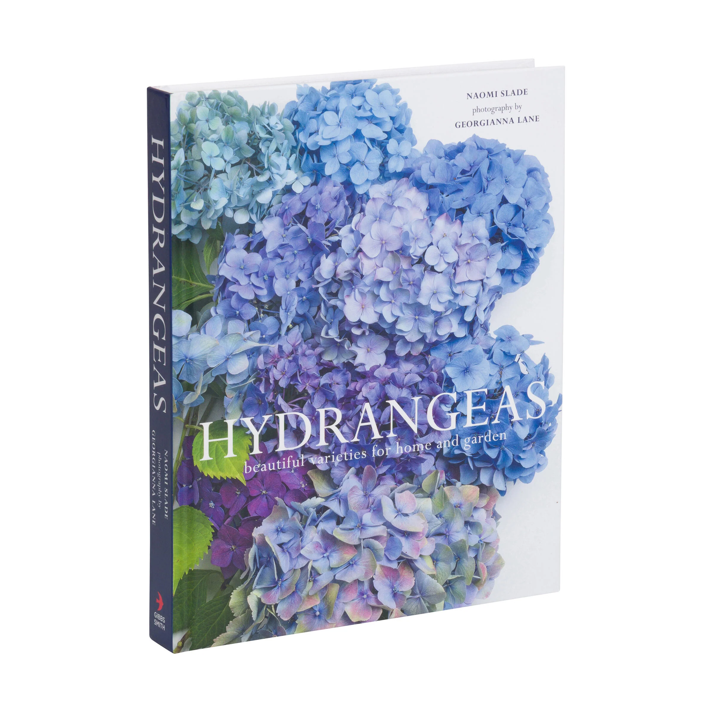 HYDRANGEAS - Image 2