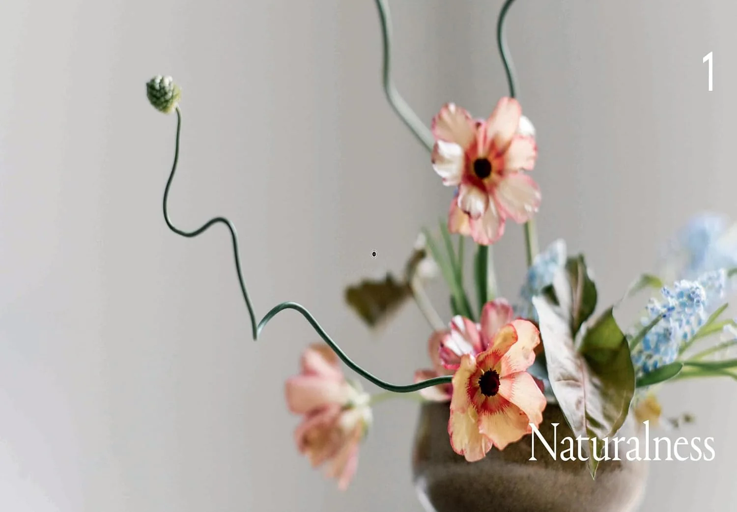IKEBANA UNBOUND - Image 4