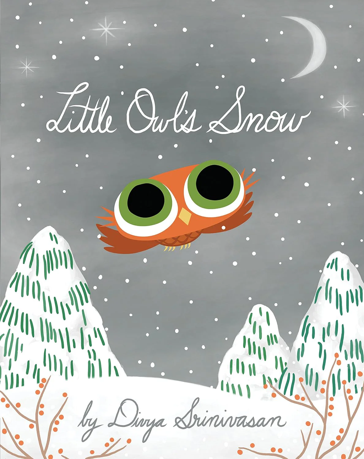 LITTLE OWL`S SNOW