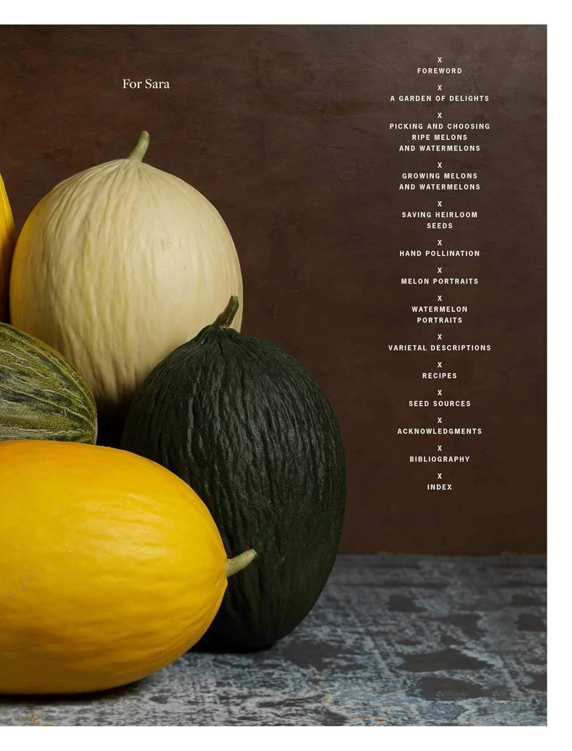 MELON - Image 2