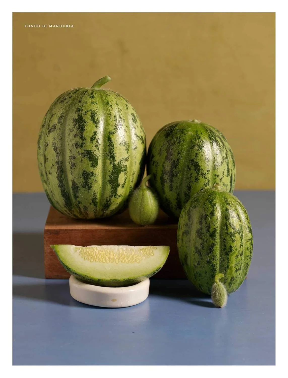 MELON - Image 5