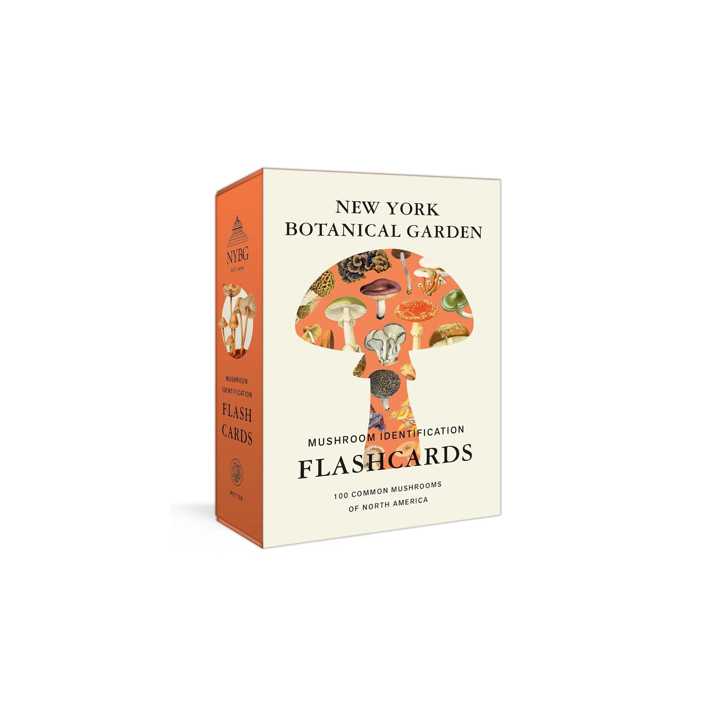 MUSHROOM IDENTIFICATION FLASHCARDS