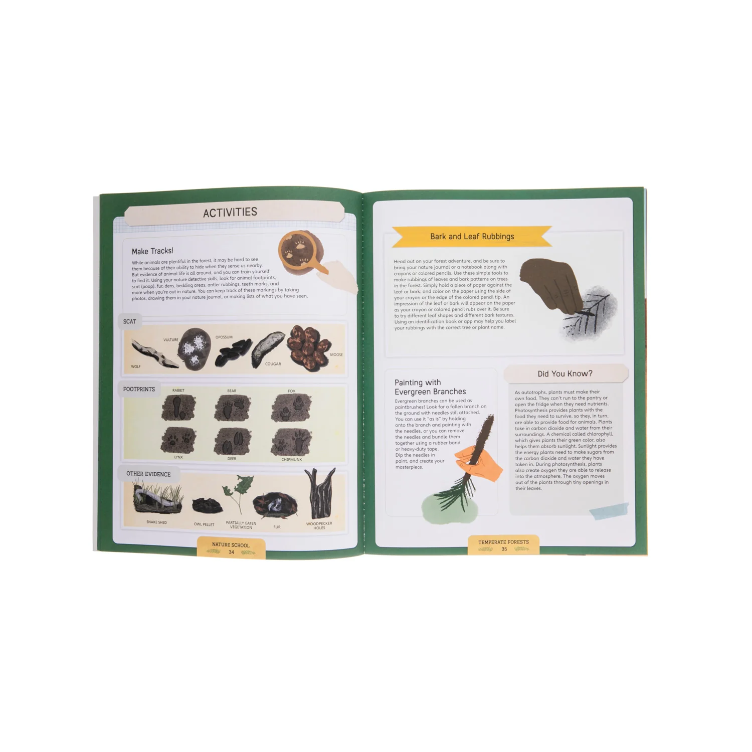 Nature School - Image 4