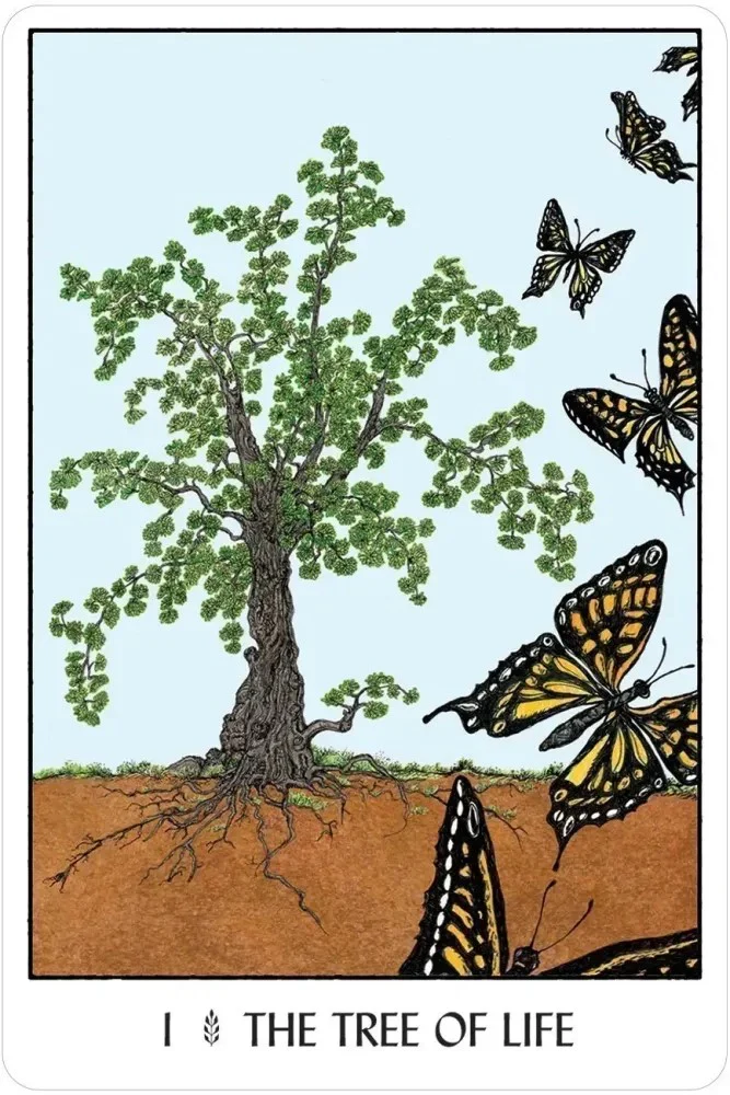 ORACLE OF THE TREES - Image 2