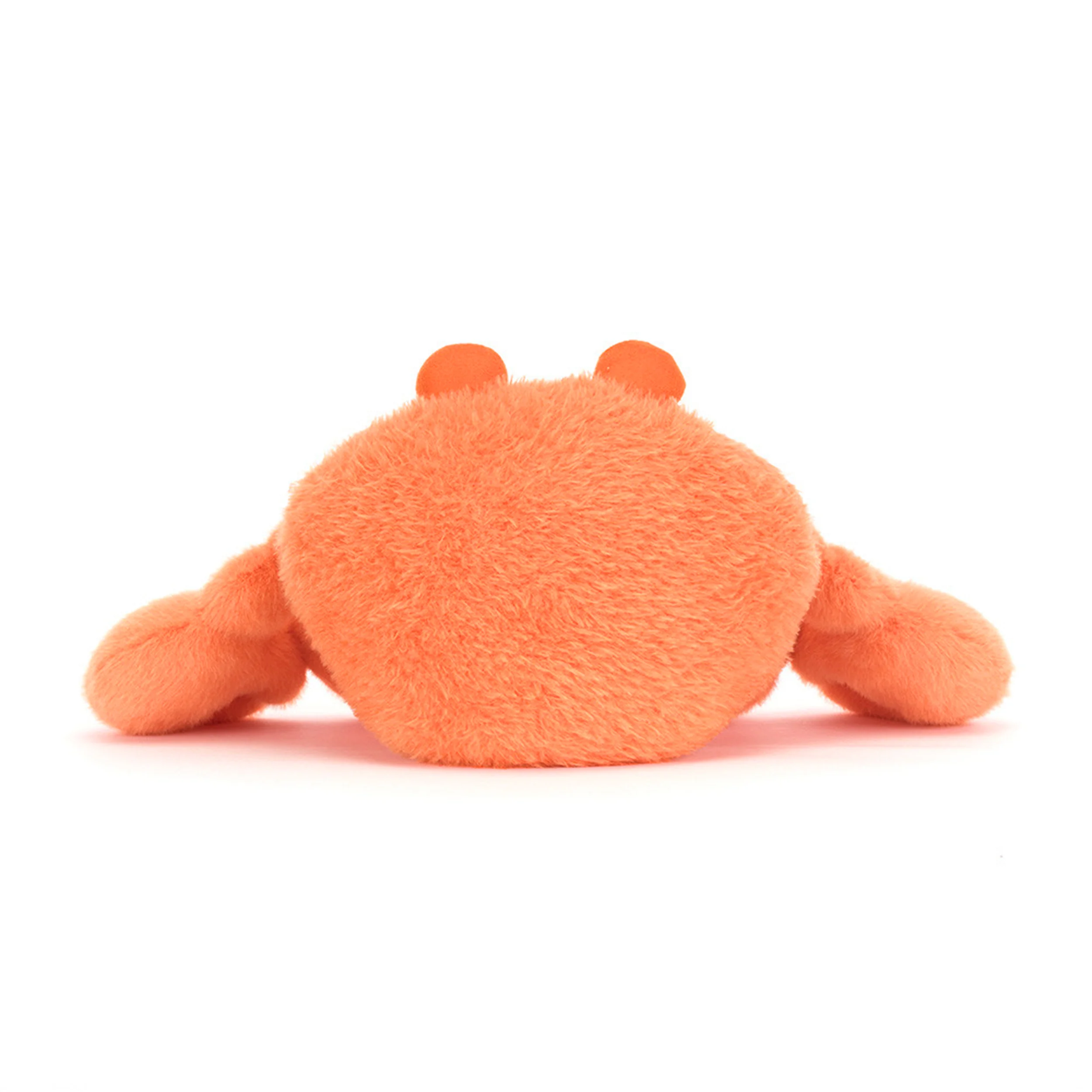 PINCHSNAP CRAB - Image 3