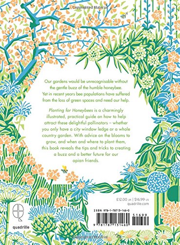 PLANTING FOR HONEYBEES - Image 2
