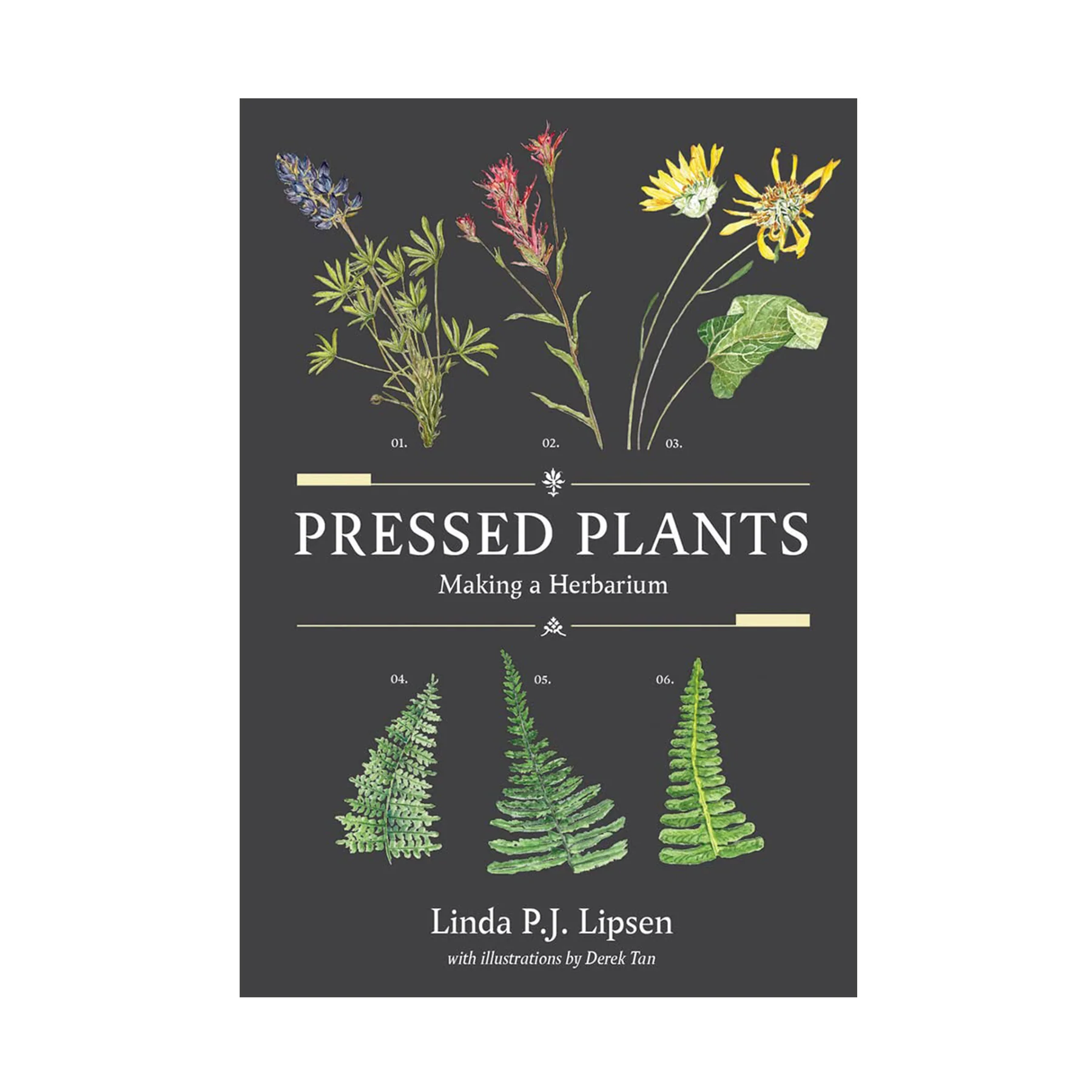 PRESSED PLANTS: MAKING A HERBARIUM