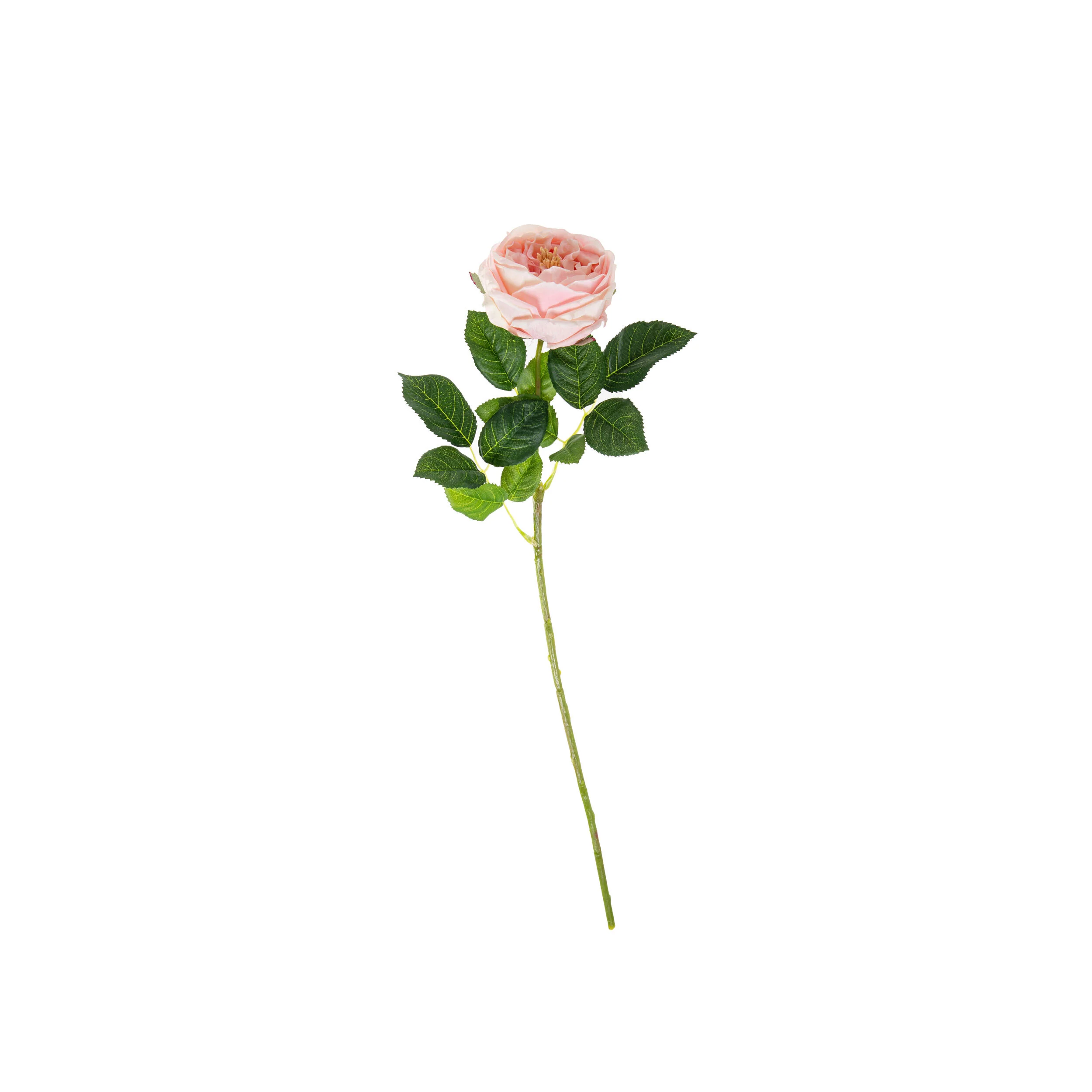 REAL TOUCH ROSES - Image 2