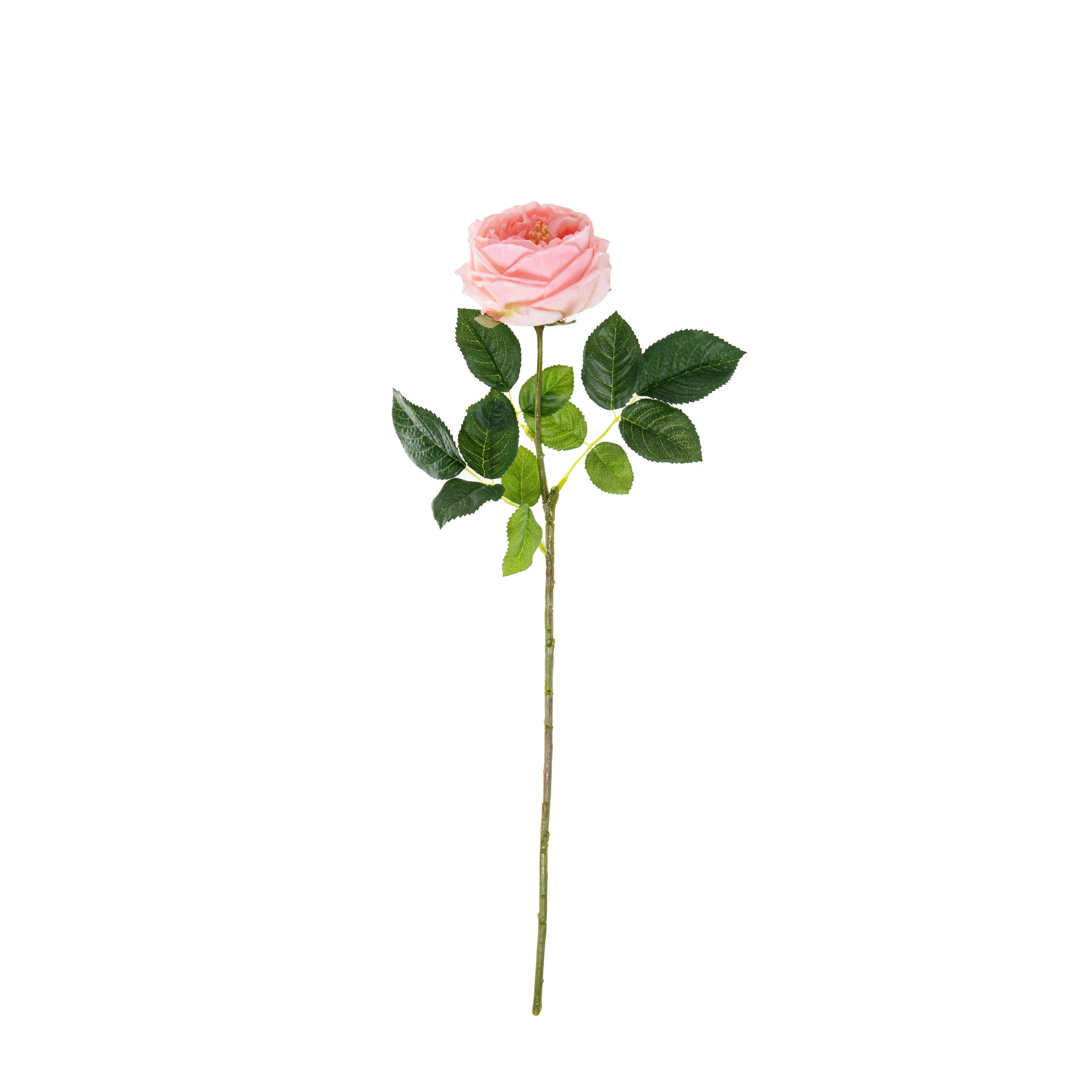 REAL TOUCH ROSES - Image 3