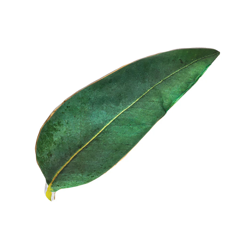 EUCALYPTUS LEAF HEADACHE & SINUS RELIEF PILLOW