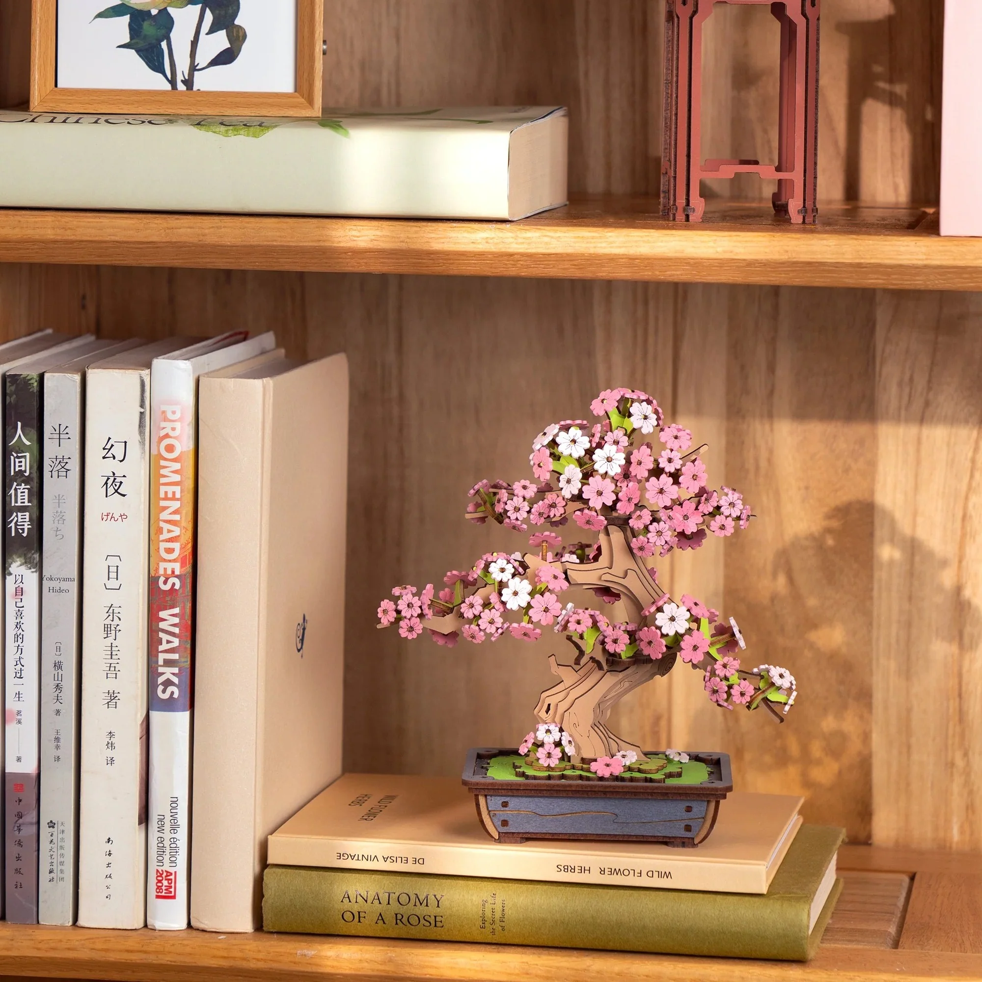 SAKURA BONSAI 3D MODEL KIT - Image 3