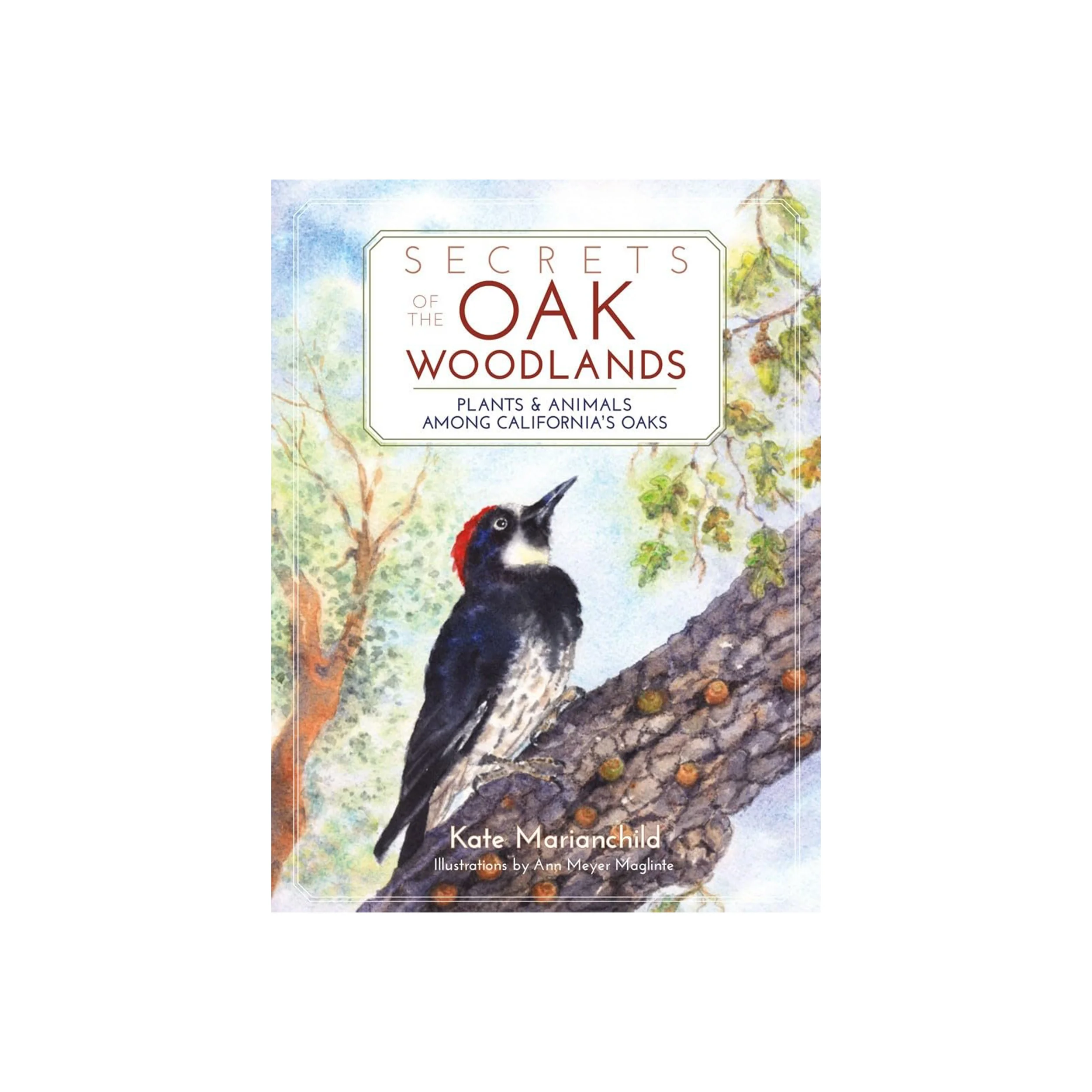 SECRETS OF THE OAK WOODLANDS: PLANTS AND ANIMALS AMONG CALIFORNIA'S OAKS