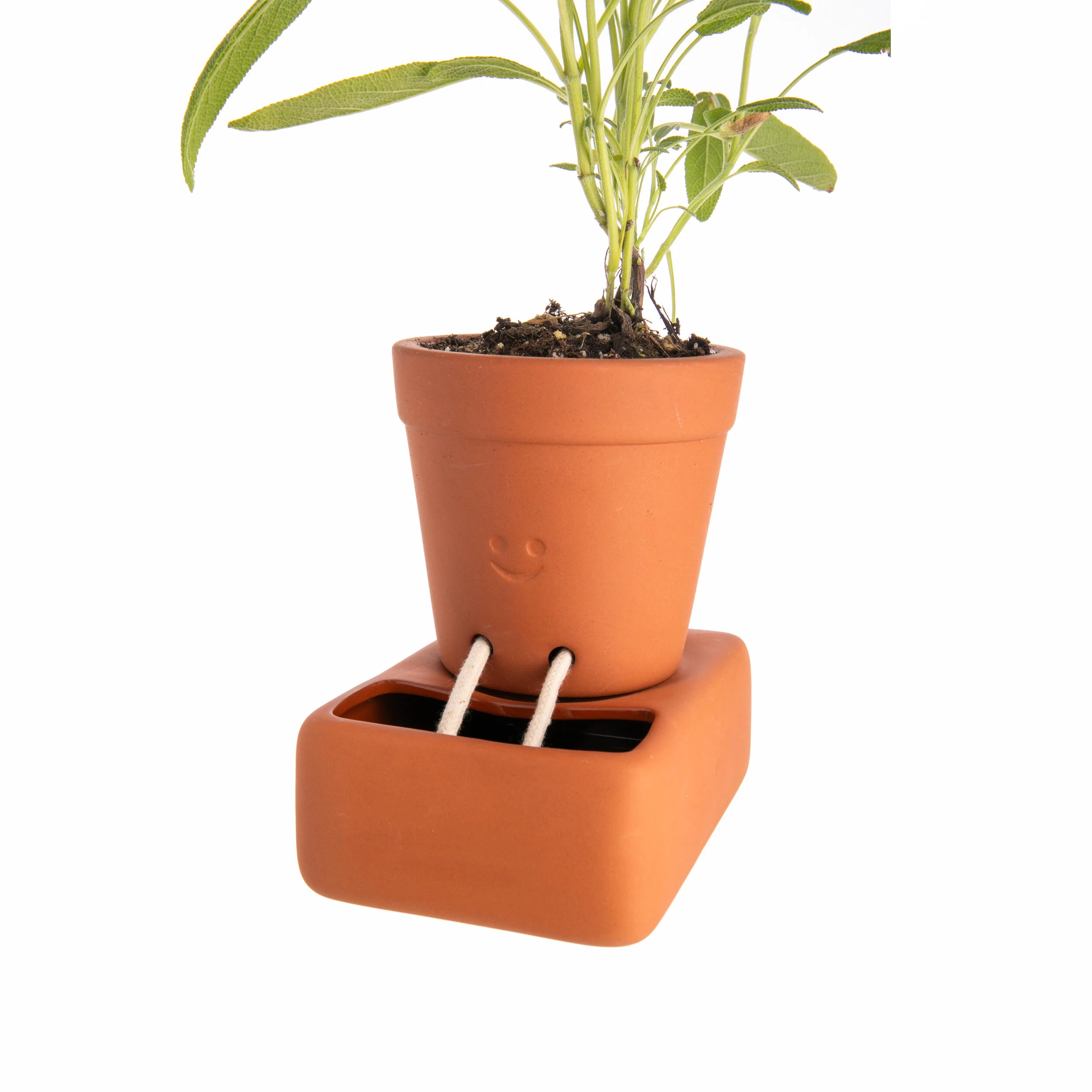 SELF WATERING PLANT POT - Image 2