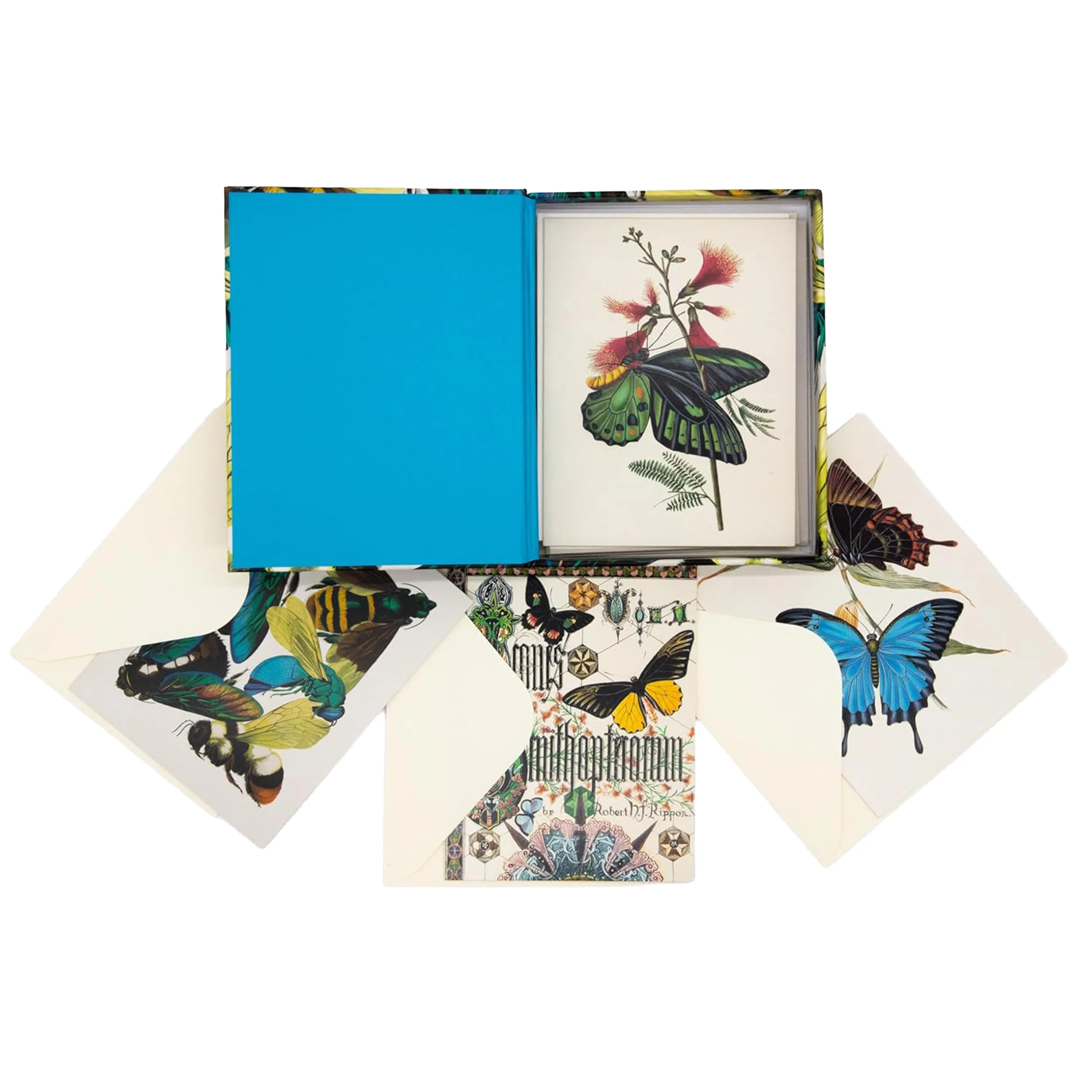 SHIMMERING WINGS NOTECARD SET - Image 3