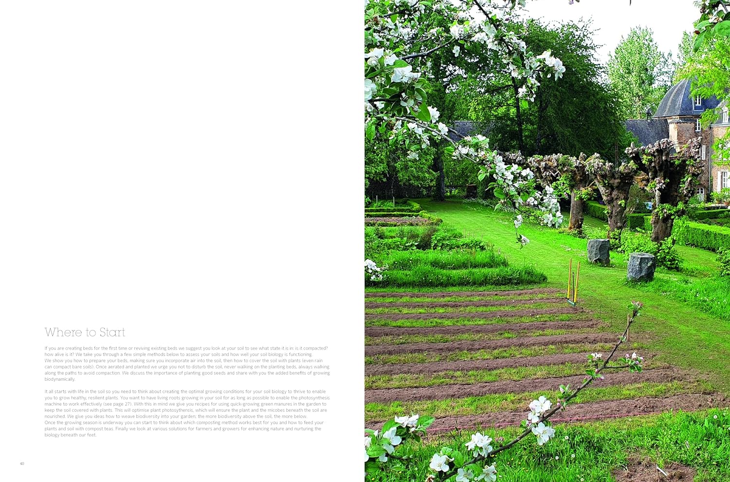SOIL TO TABLE - Image 3