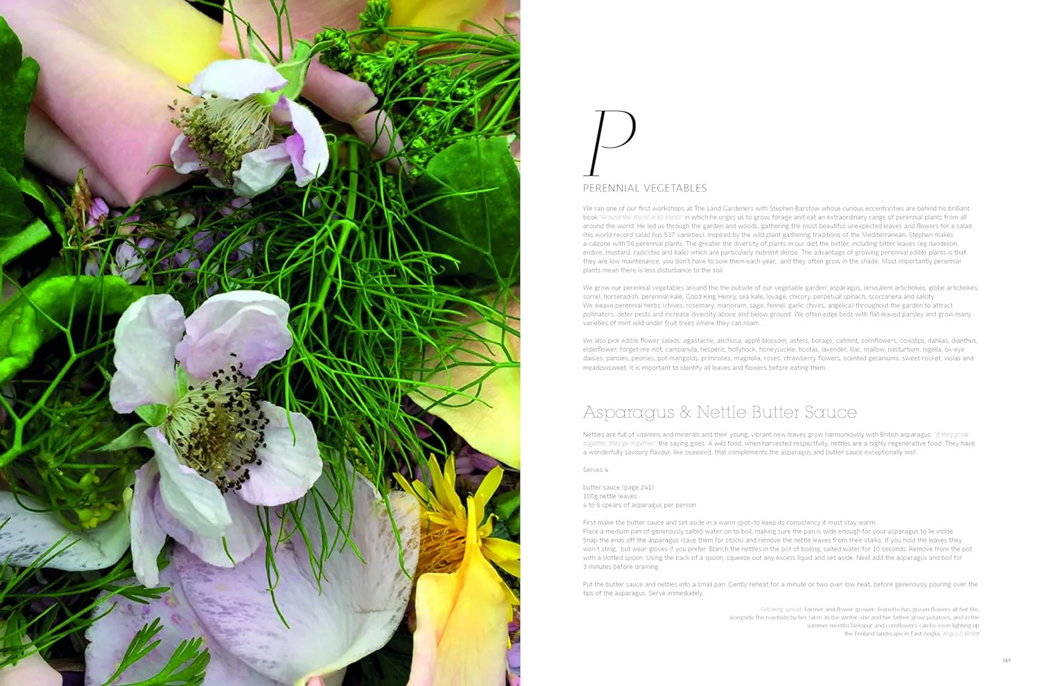SOIL TO TABLE - Image 5