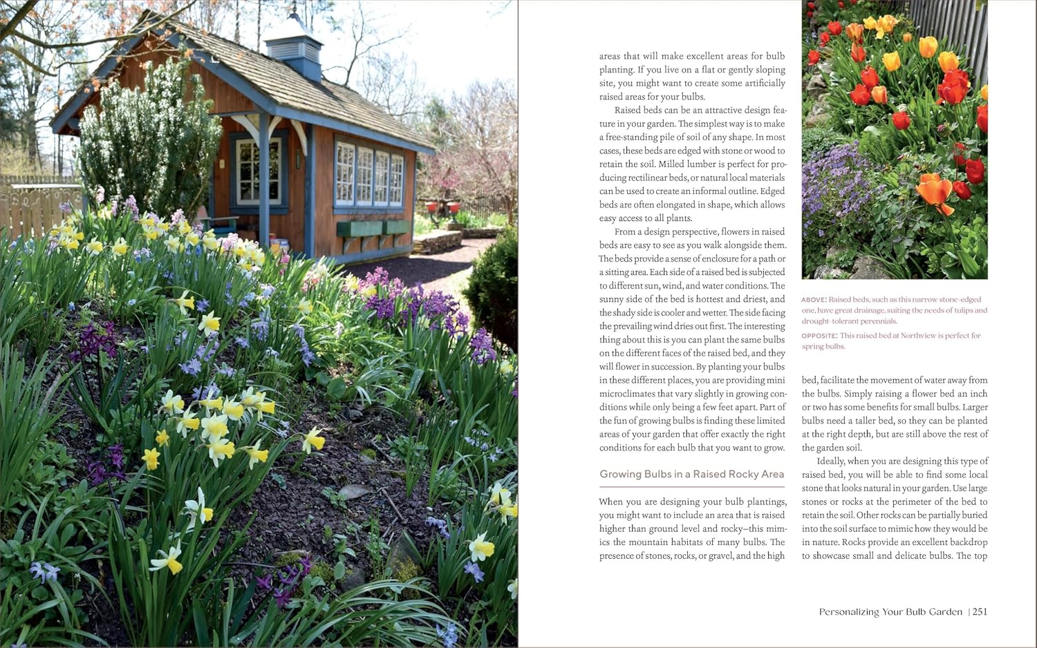 THE ESSENTIAL GUIDE TO BULBS - Image 3