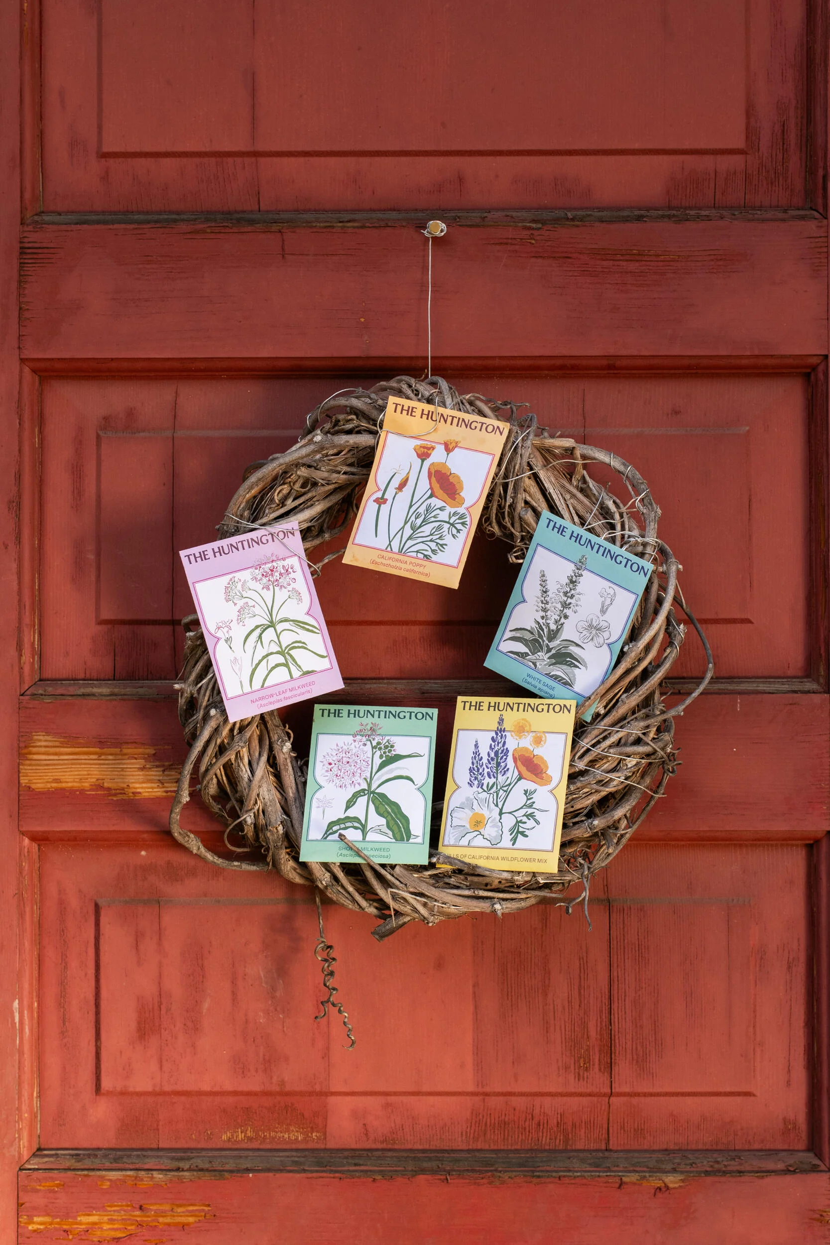 THE HUNTINGTON HILLS OF CALIFORNIA WILDFLOWER MIX SEED PACKET - Image 4