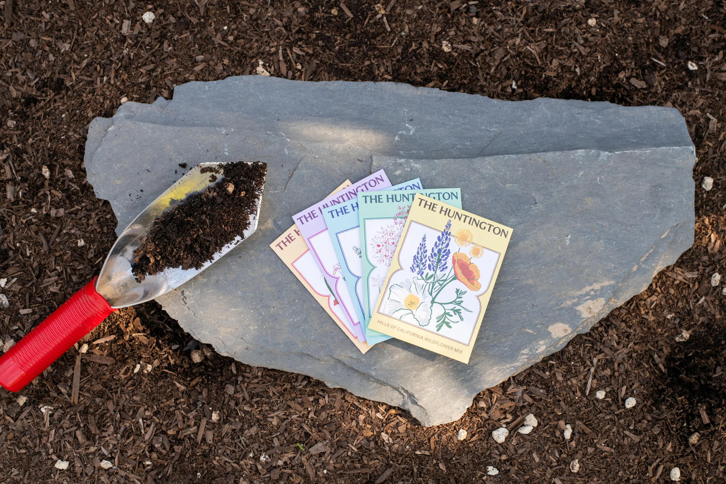 THE HUNTINGTON NARROW LEAF MILKWEED SEED PACKET - Image 3